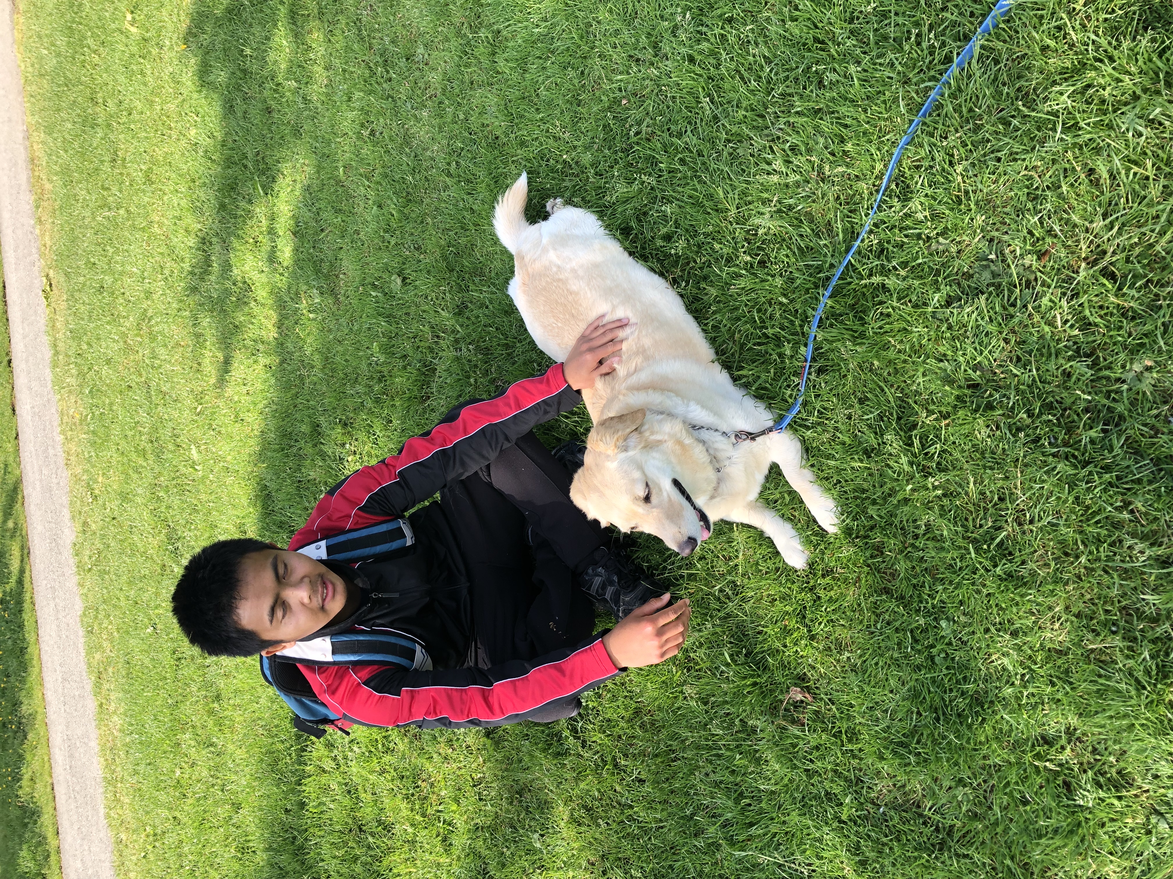 image-4