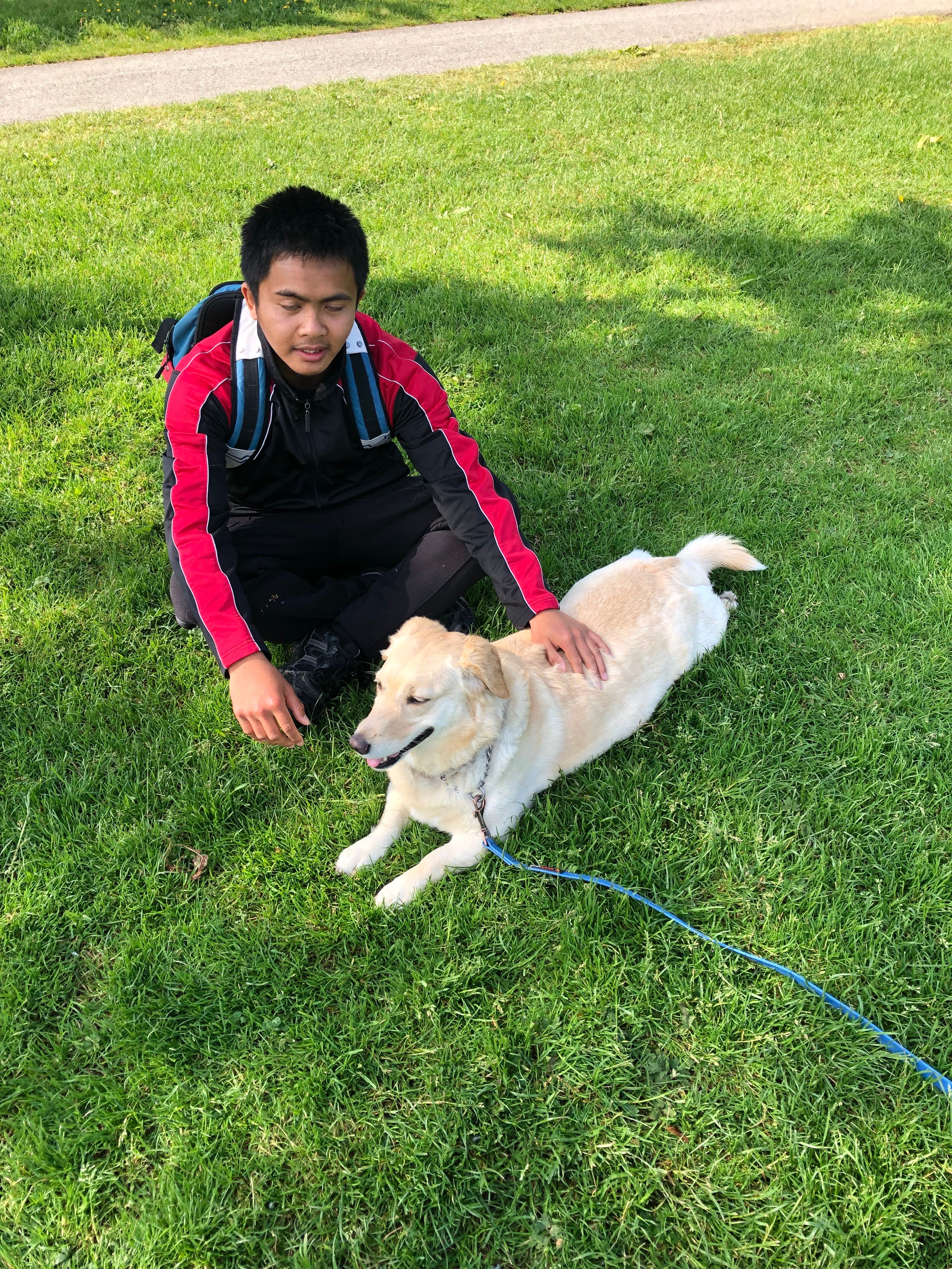 image-4