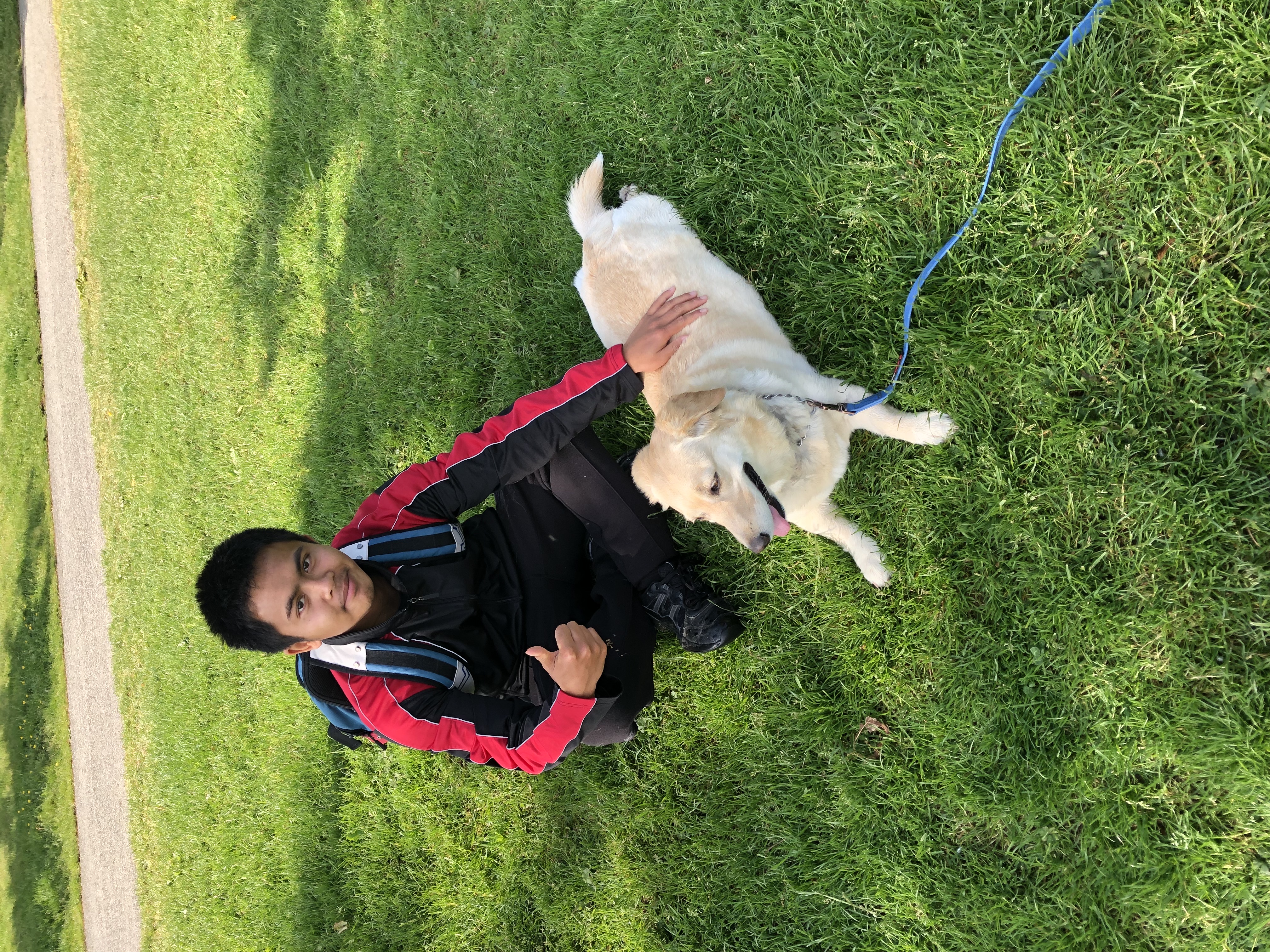 image-3
