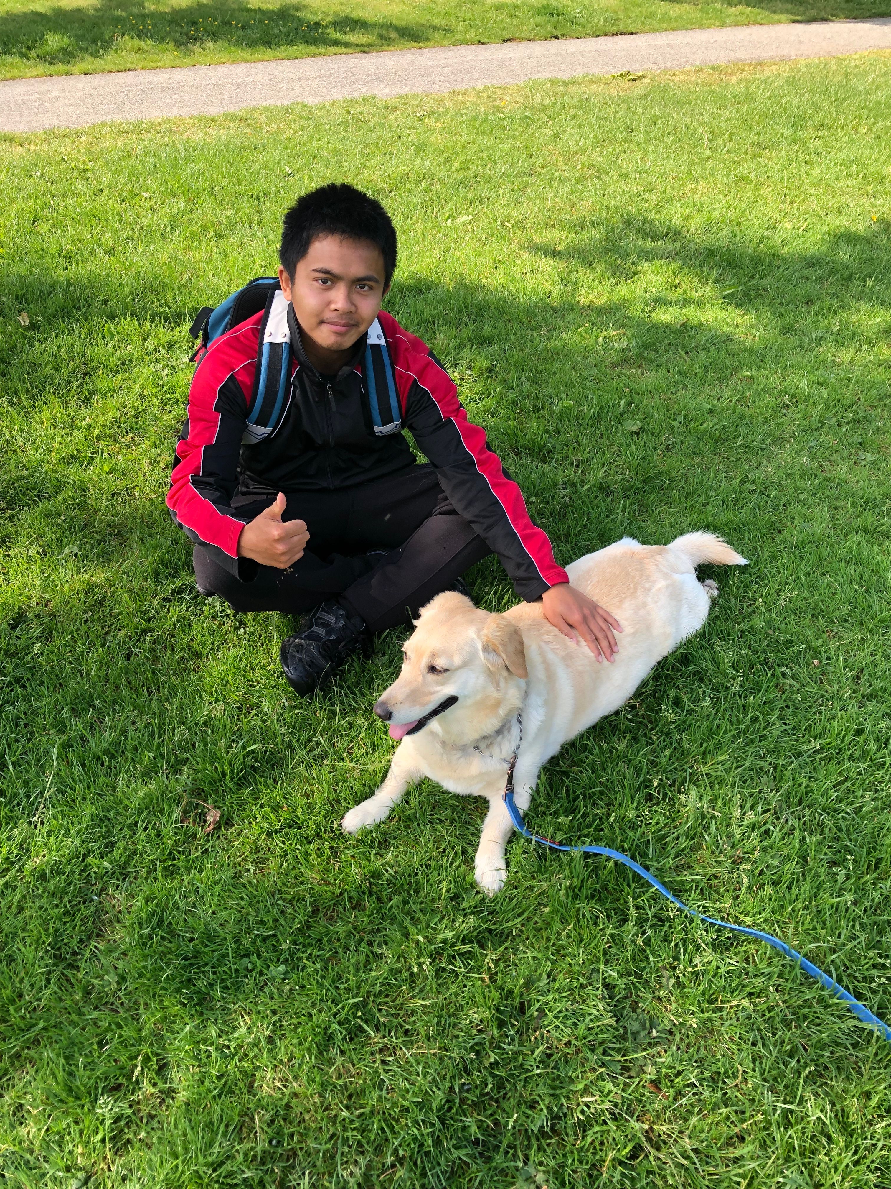 image-3