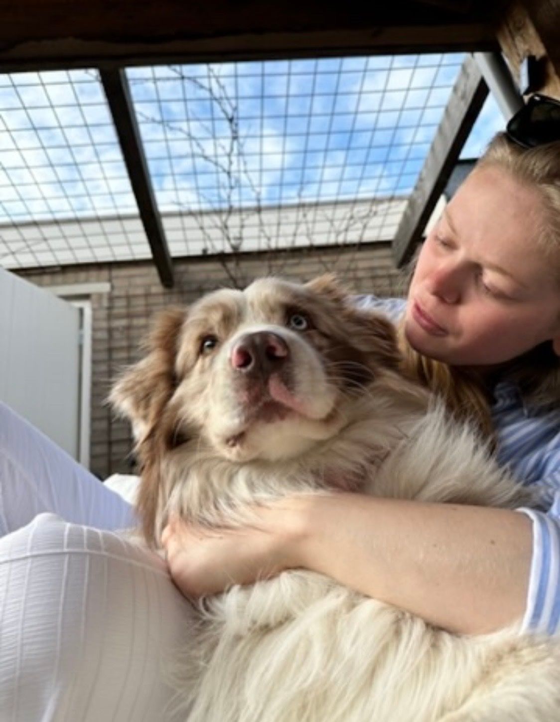 image-3