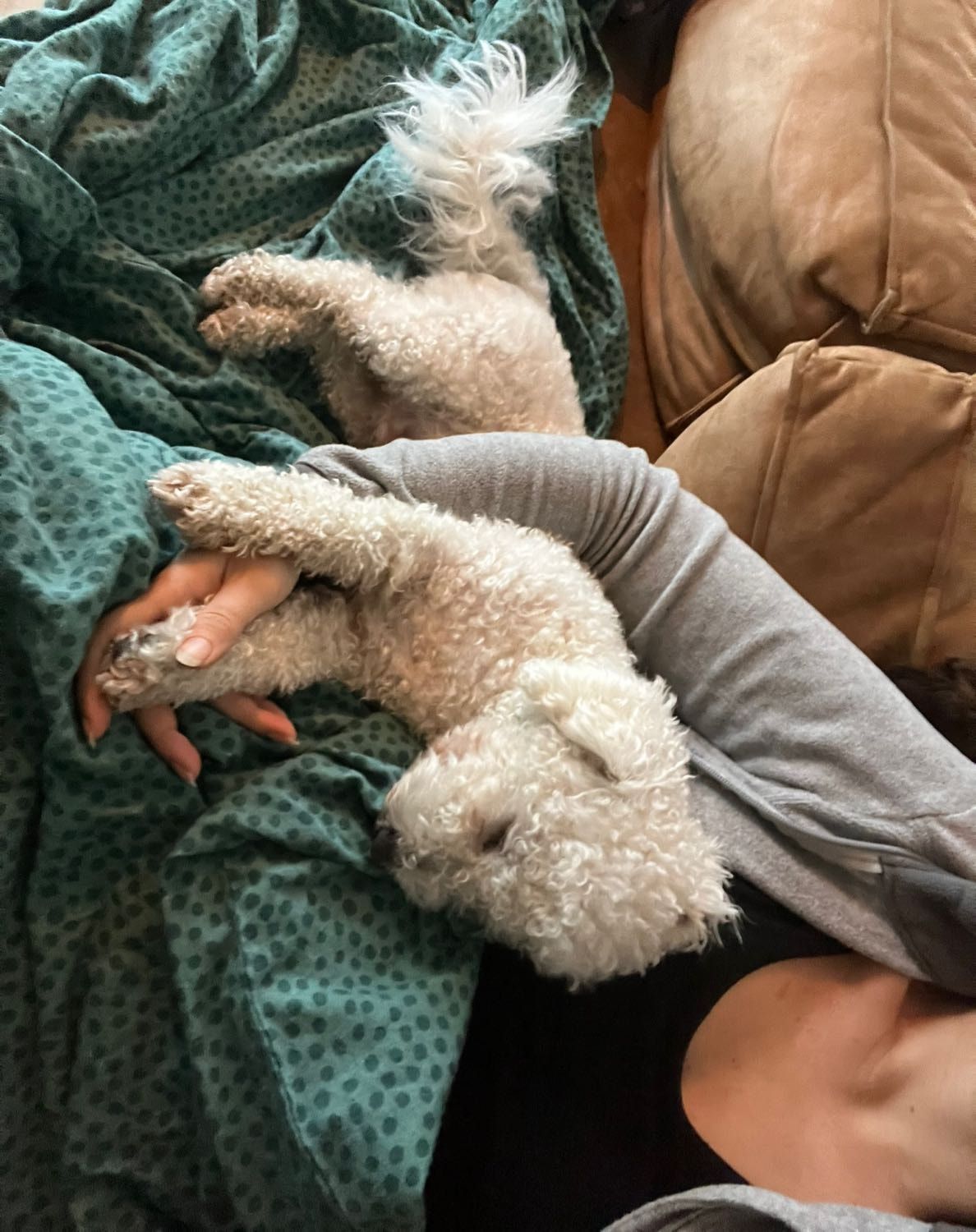 image-9