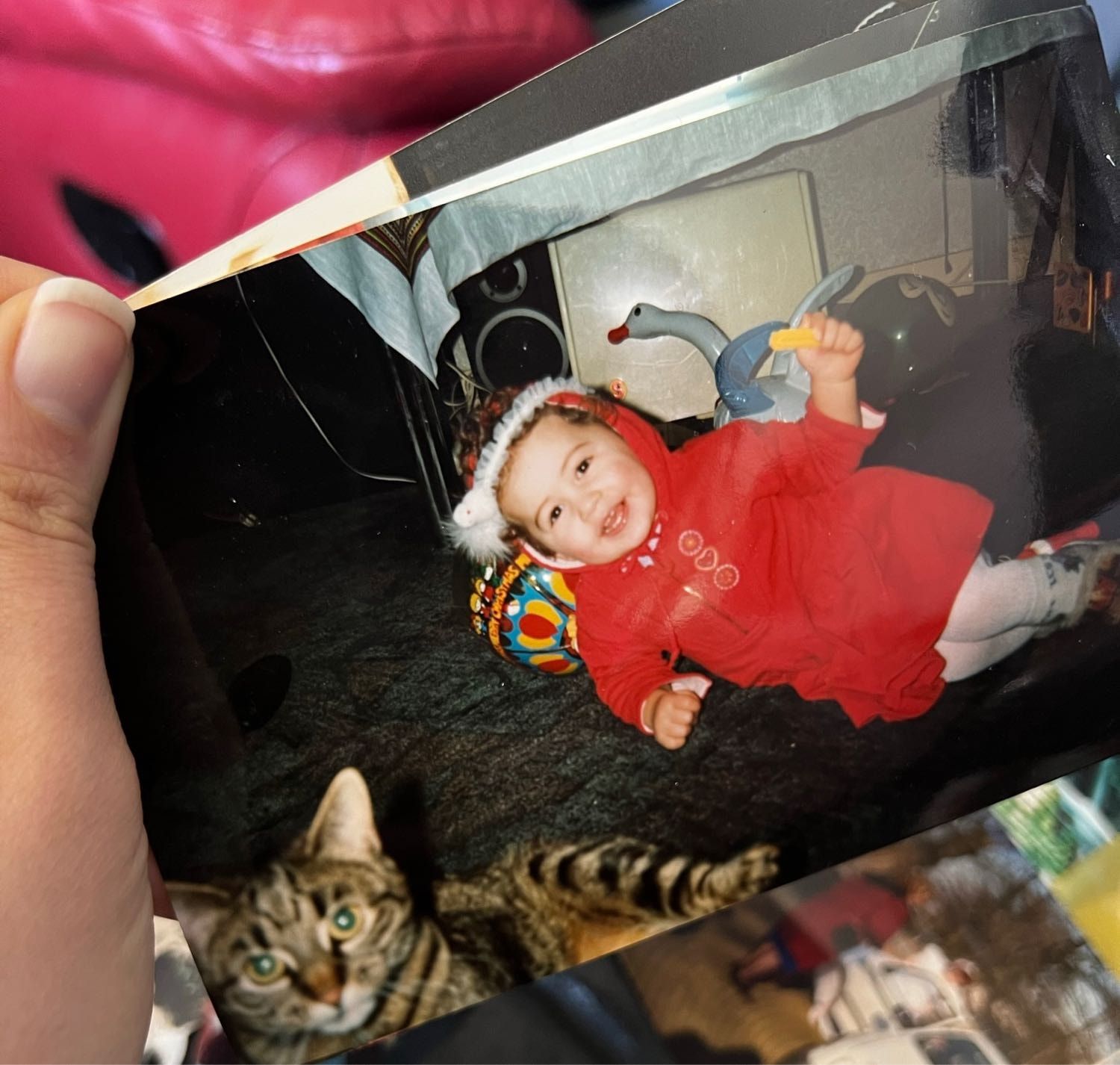 image-5