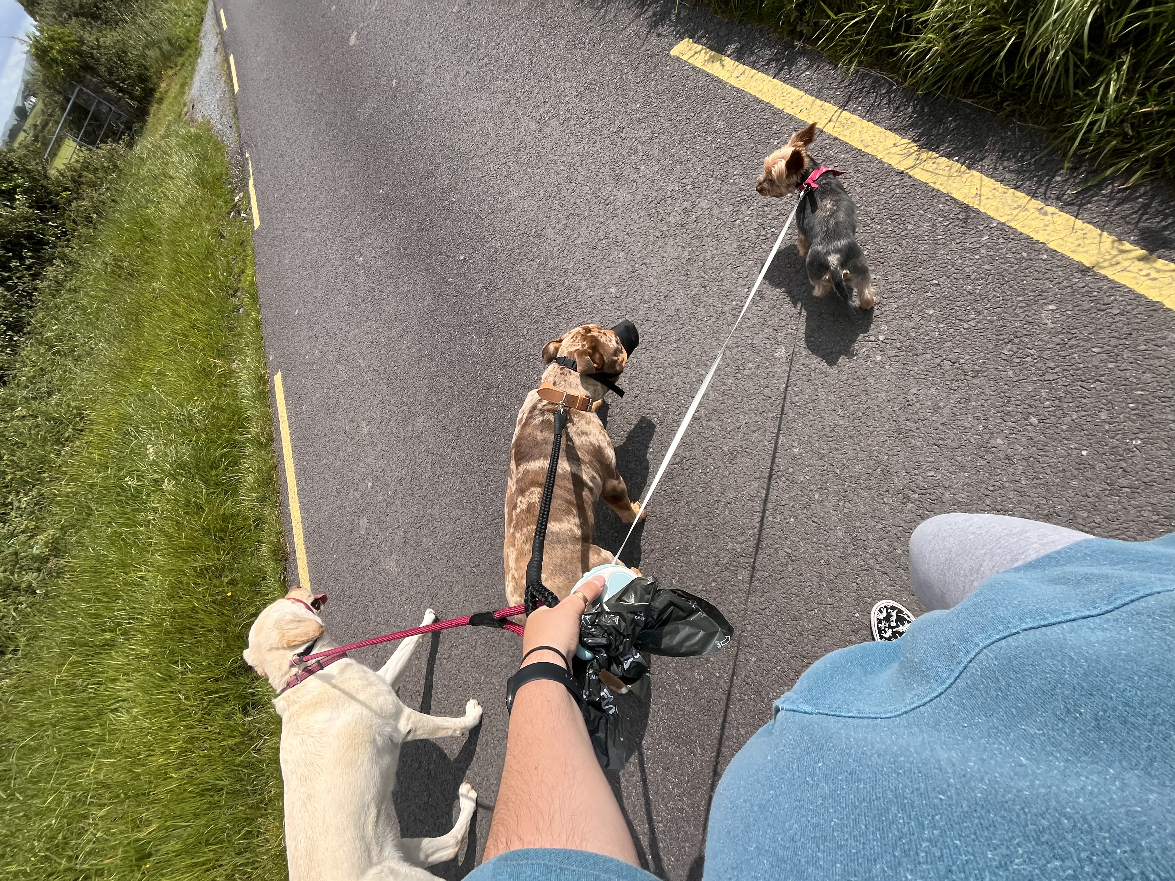 image-5