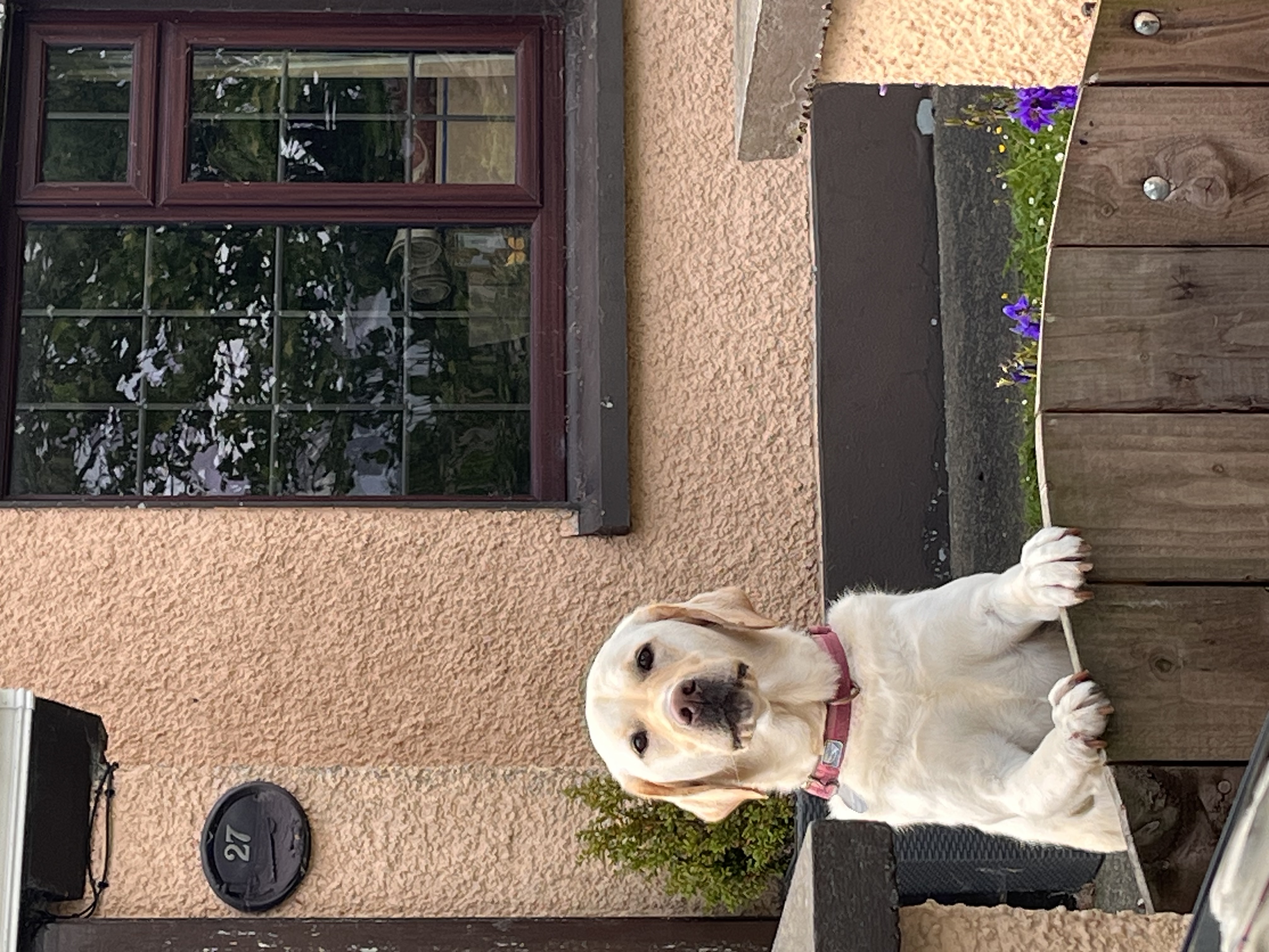 image-14