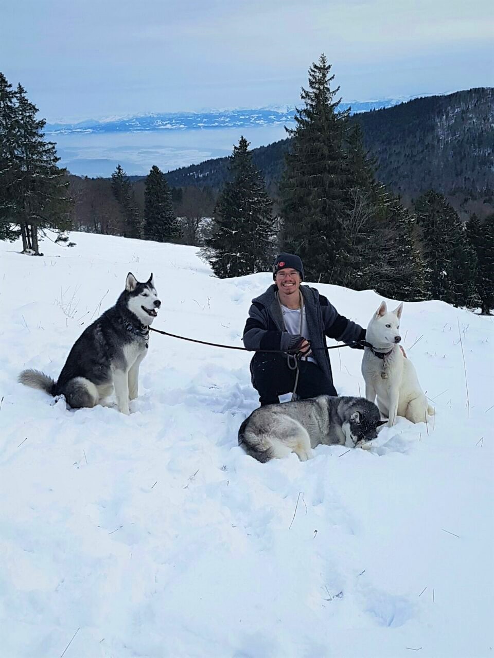 image-7