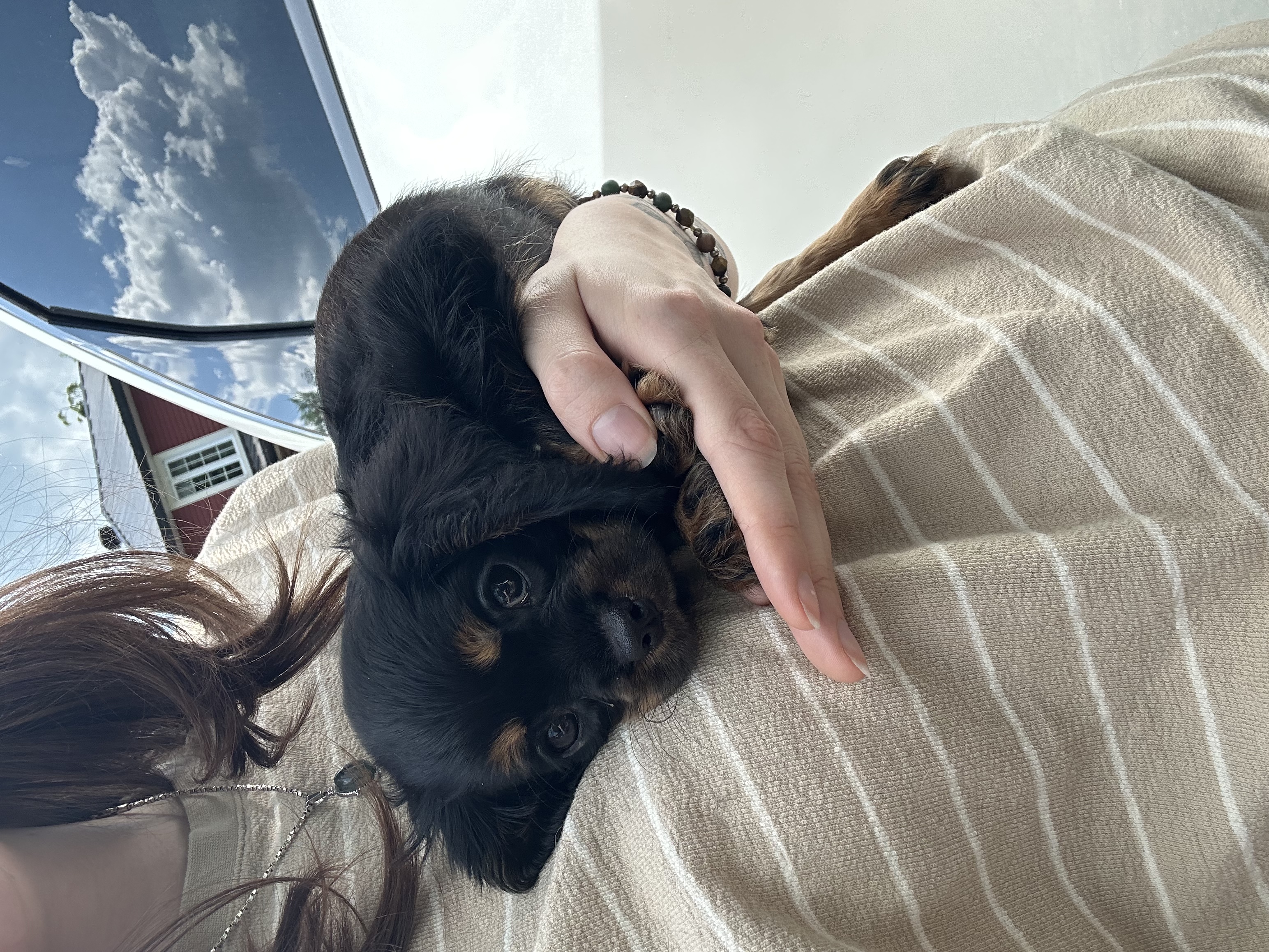 image-6