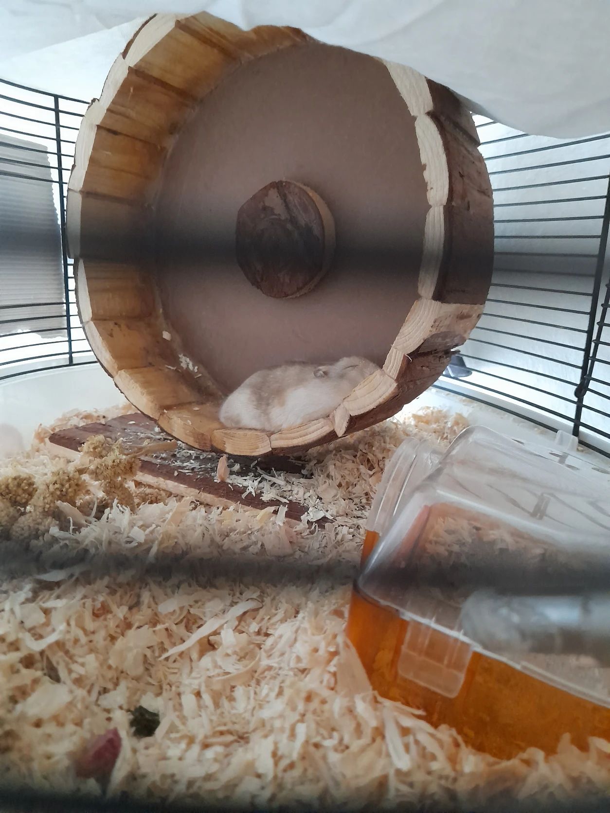 image-6