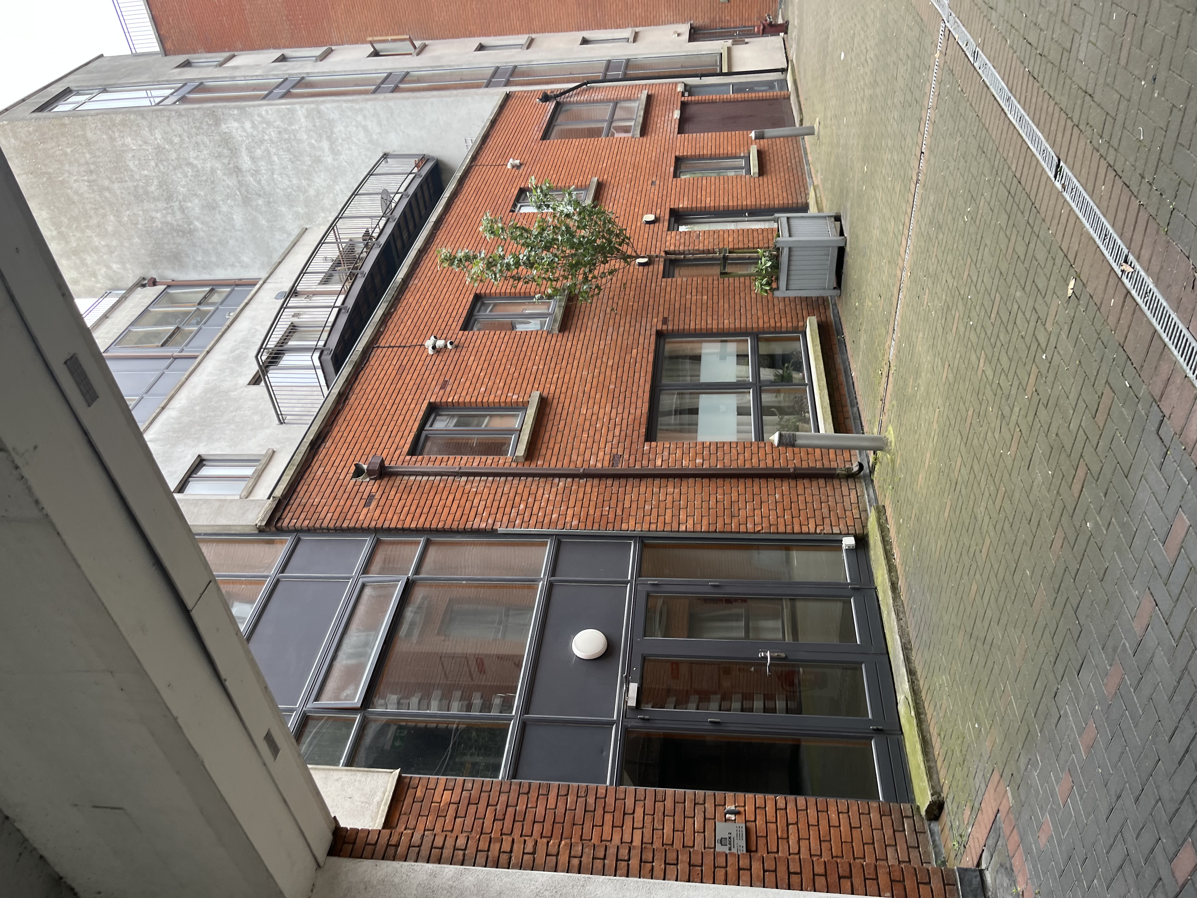 image-16