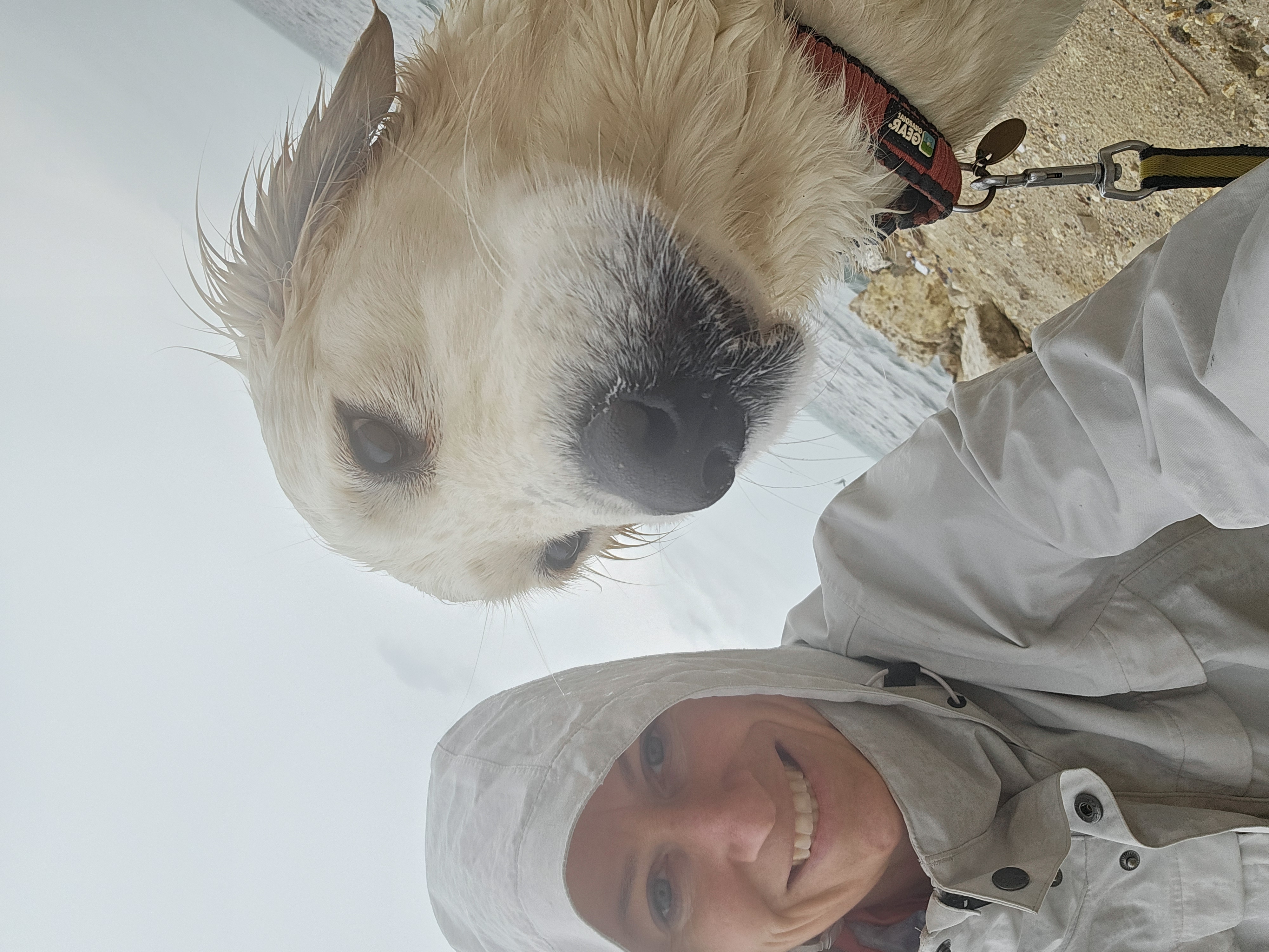 image-0