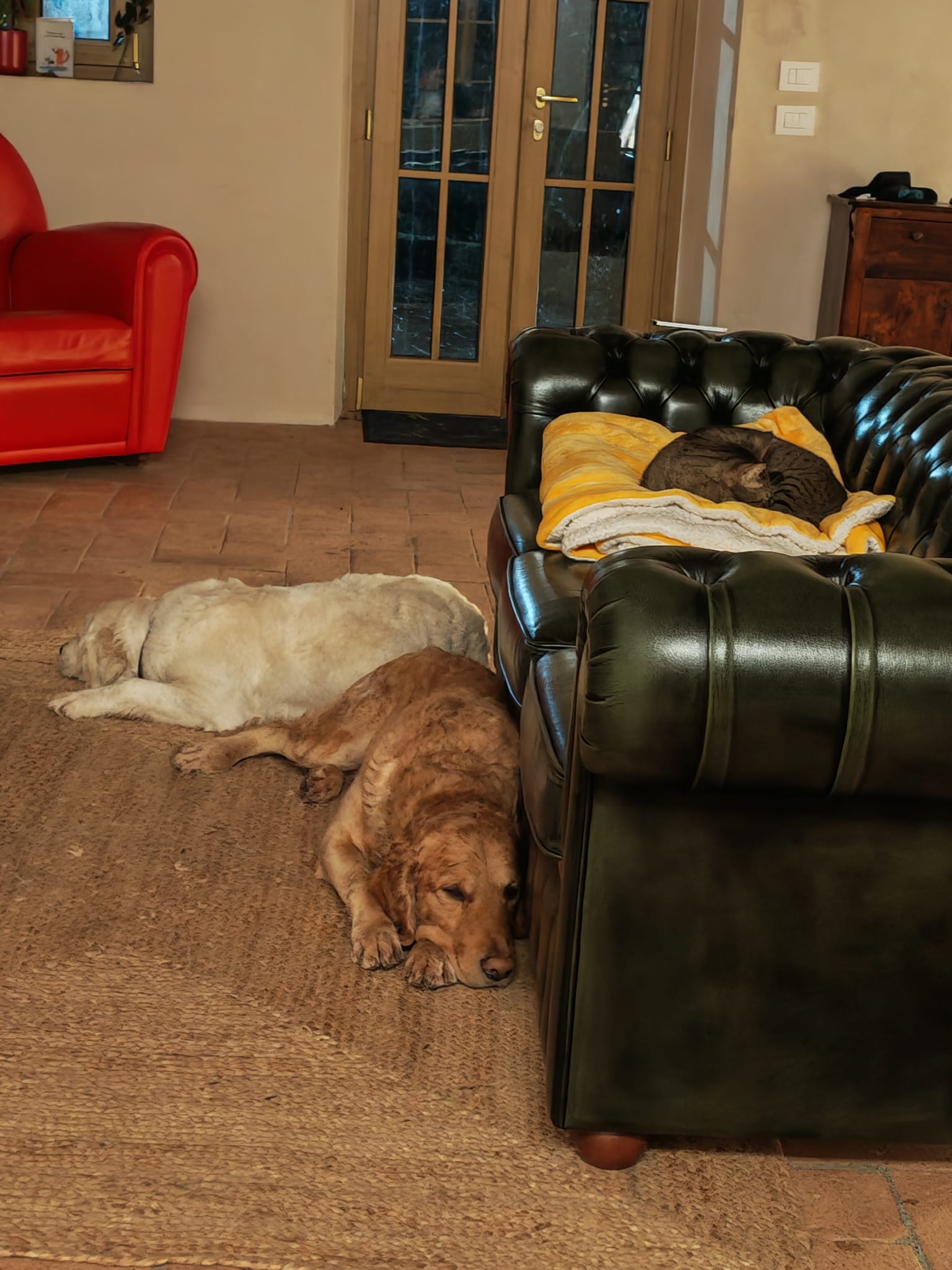 image-10