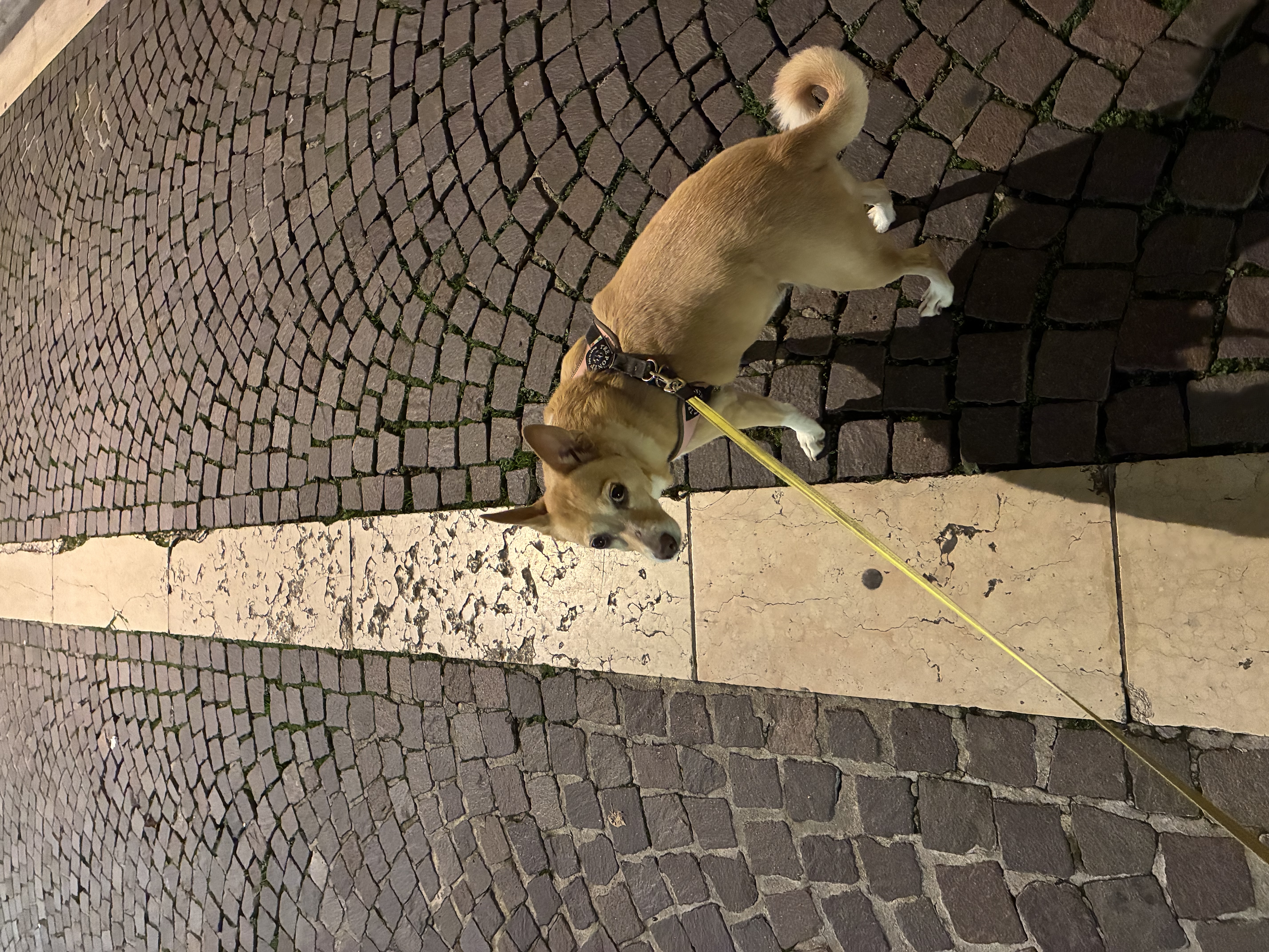 image-8