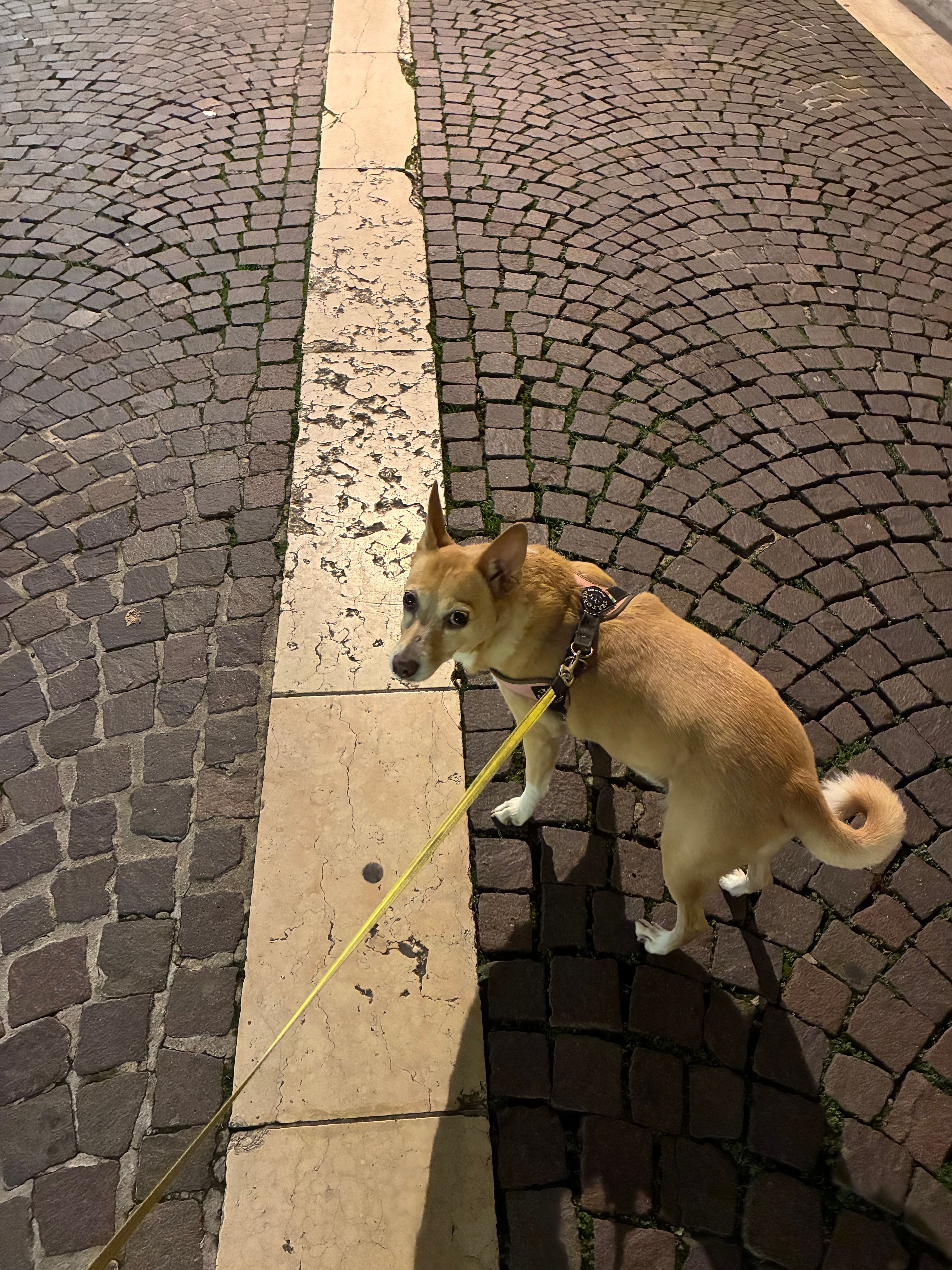 image-8