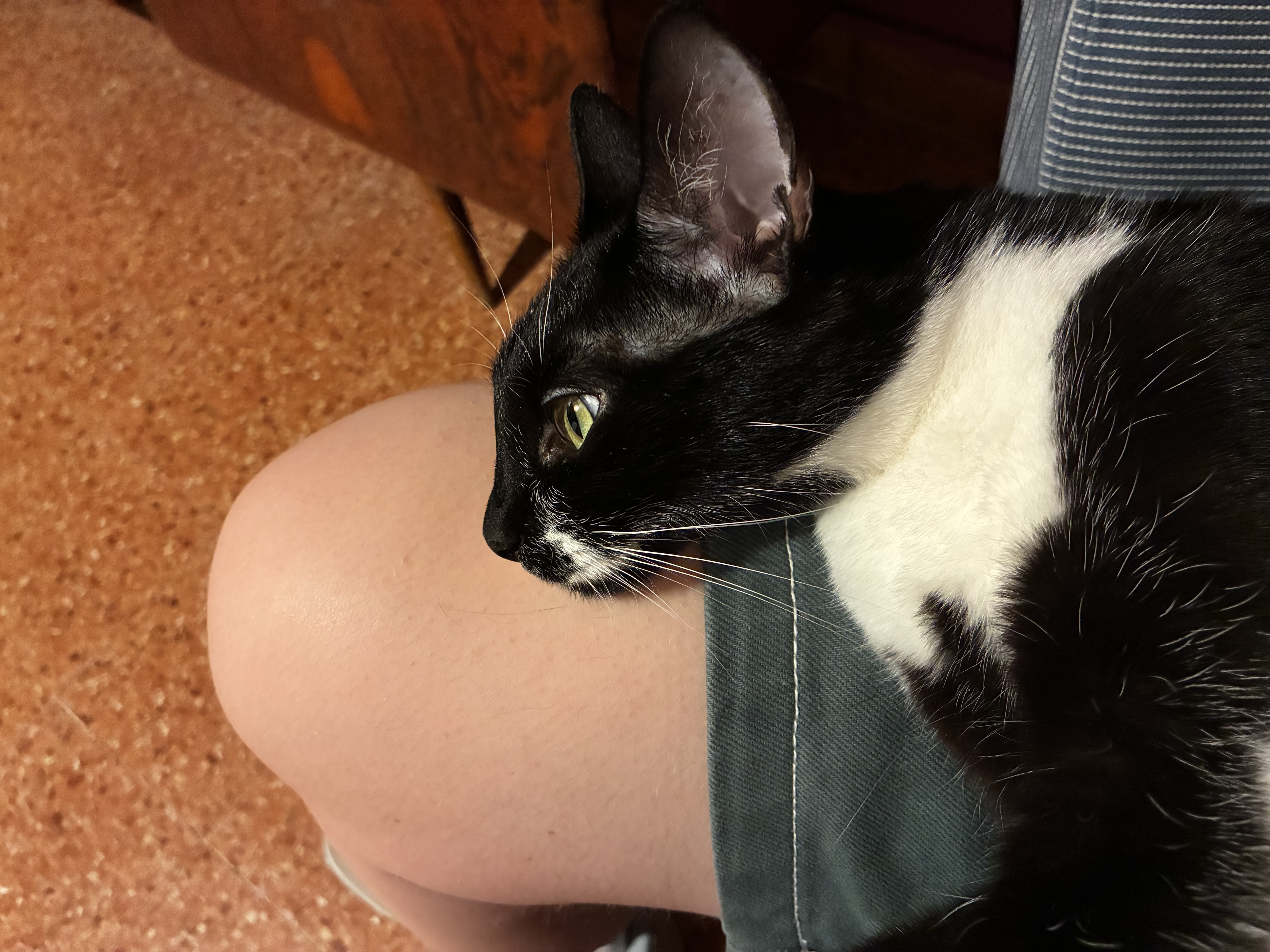 image-6