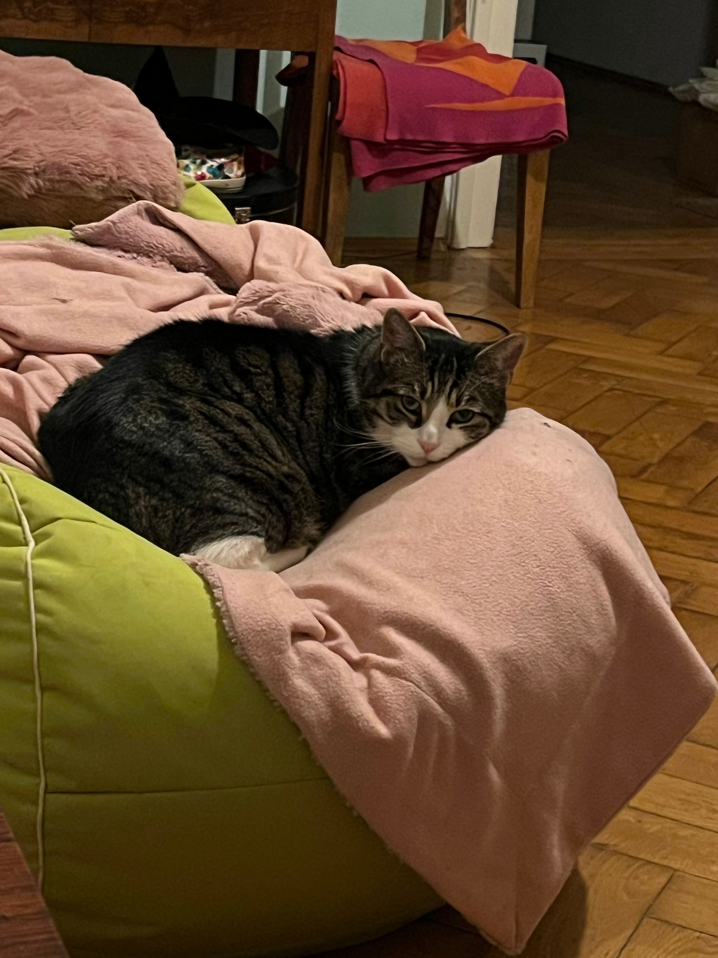 image-11