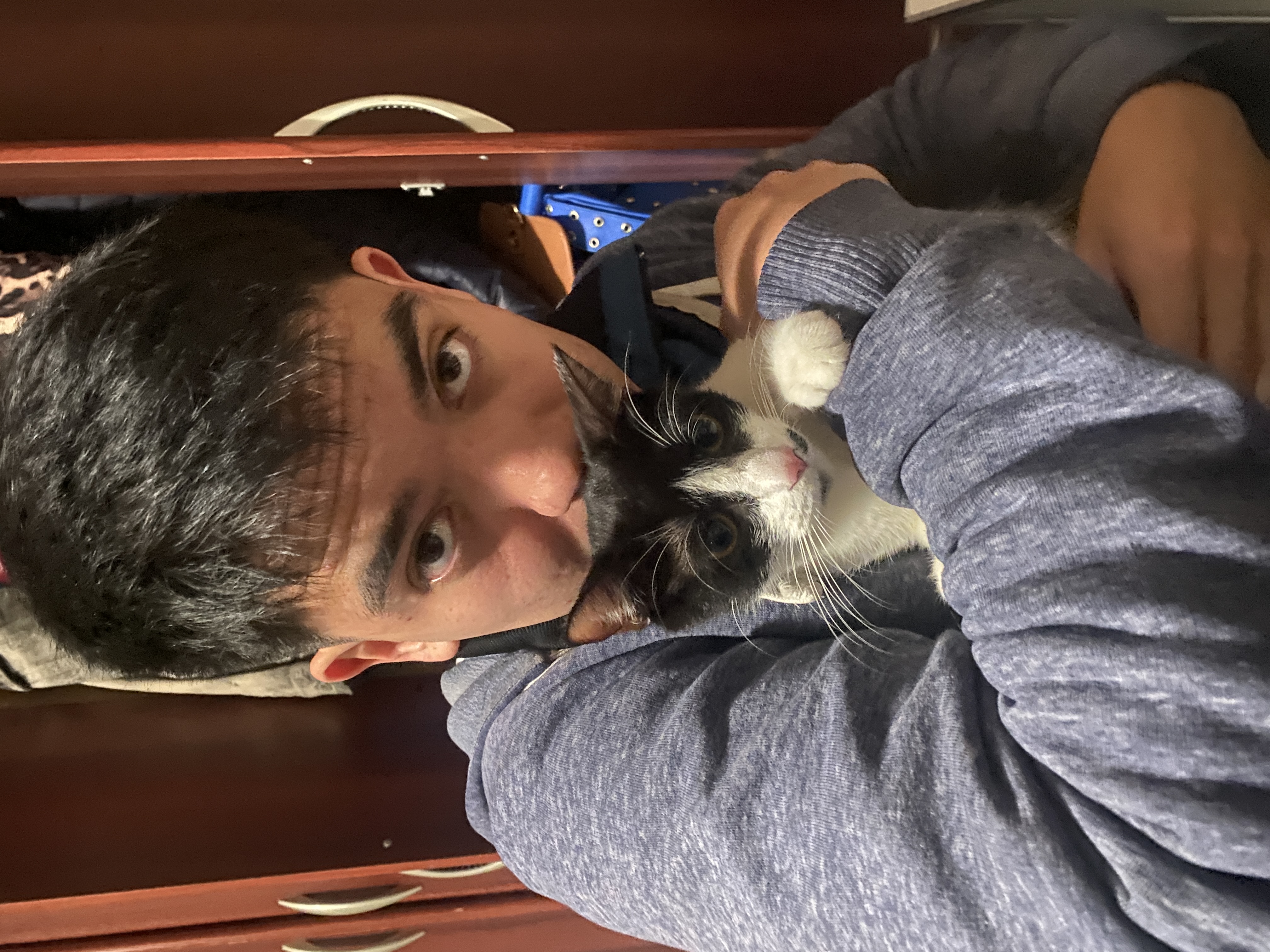 image-6