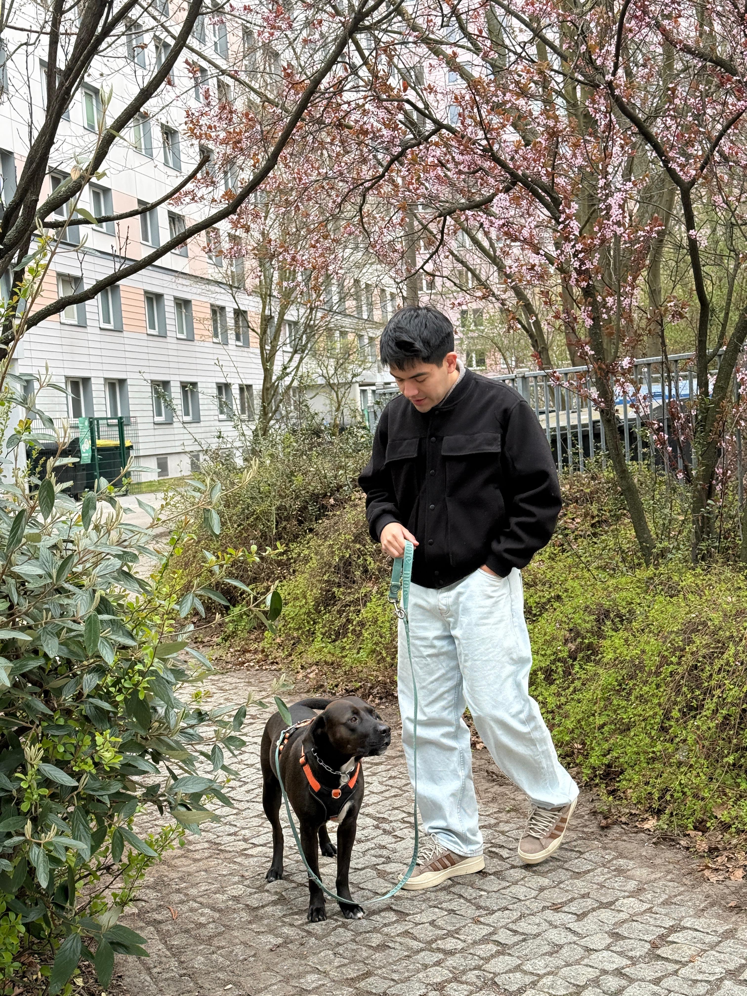image-0