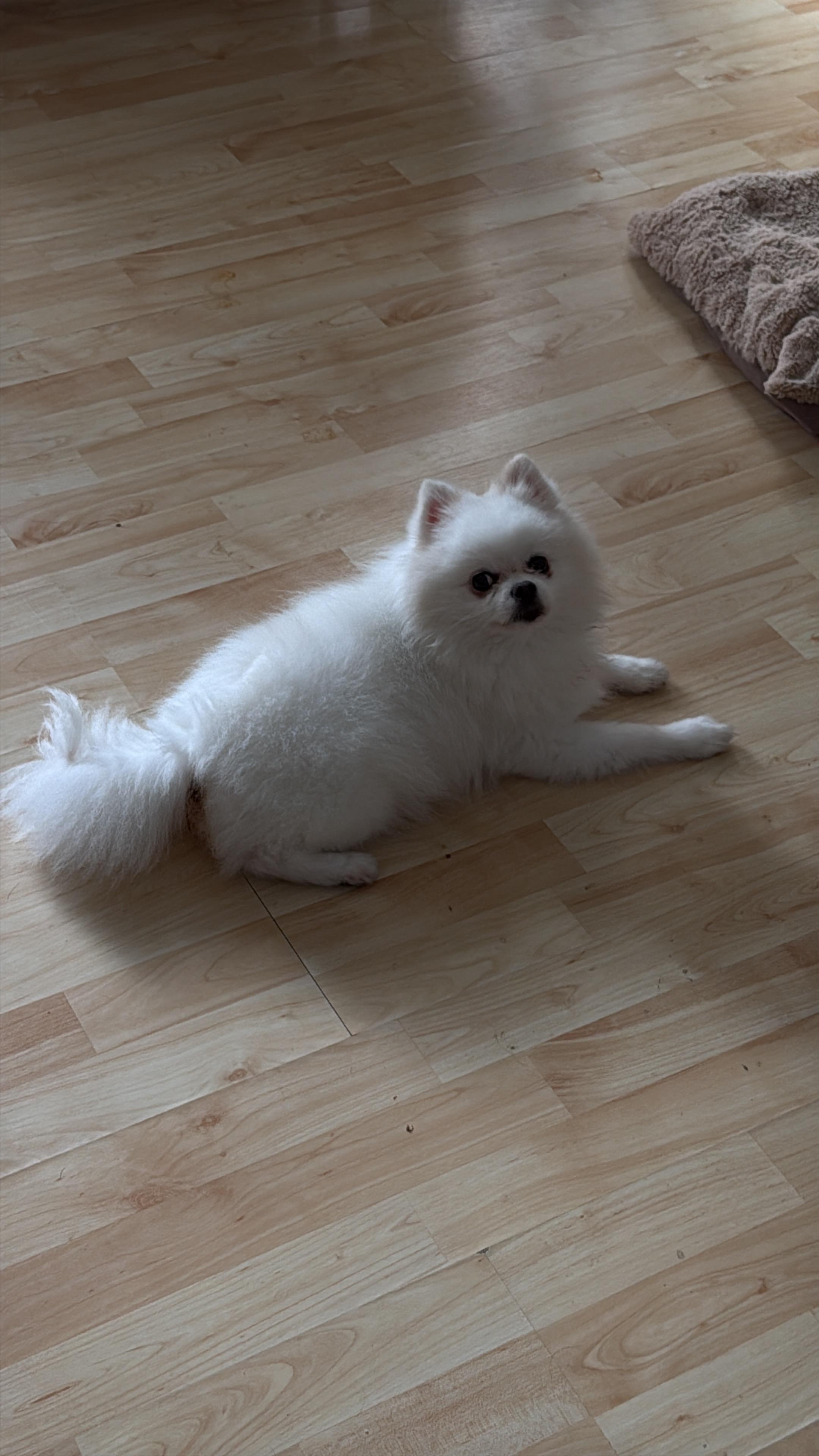 image-16