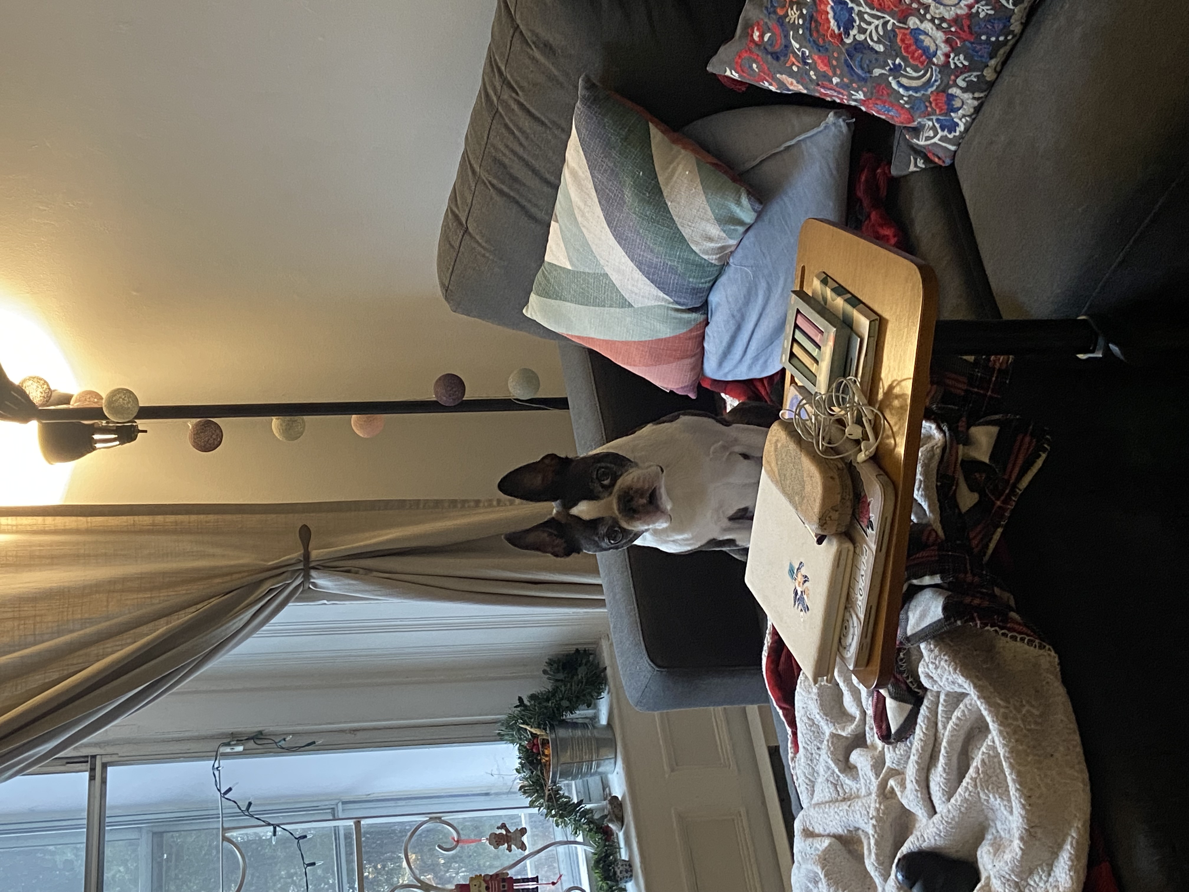image-8