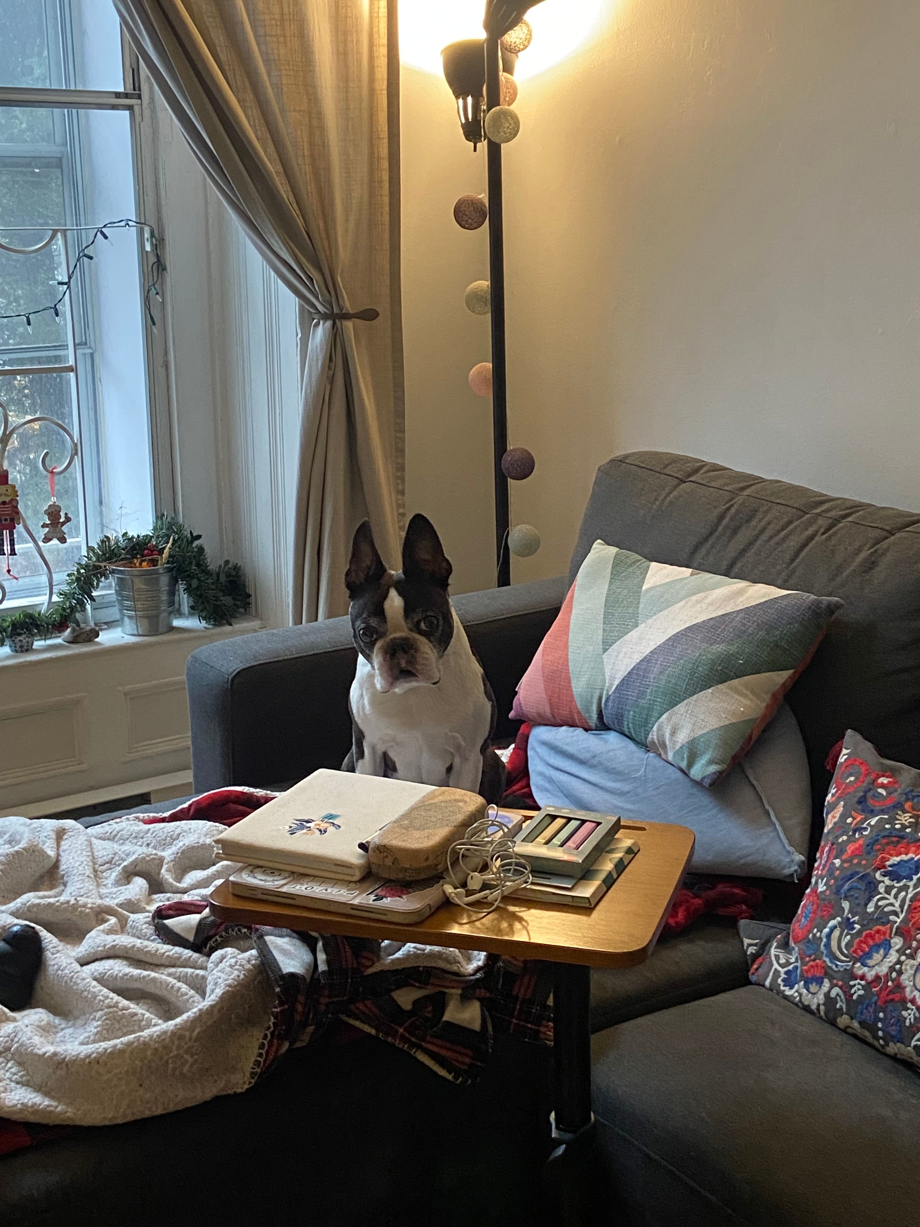 image-8