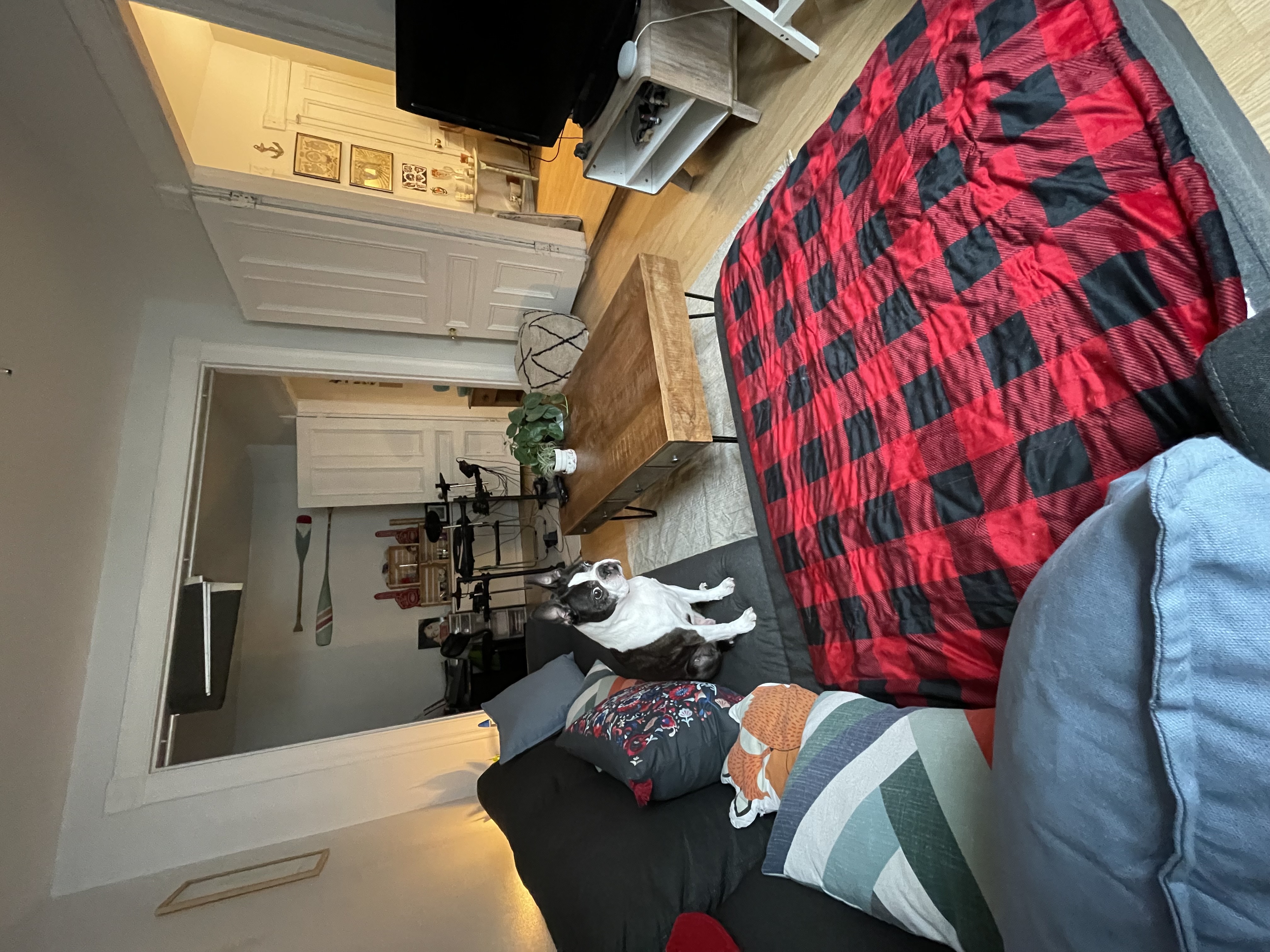 image-11