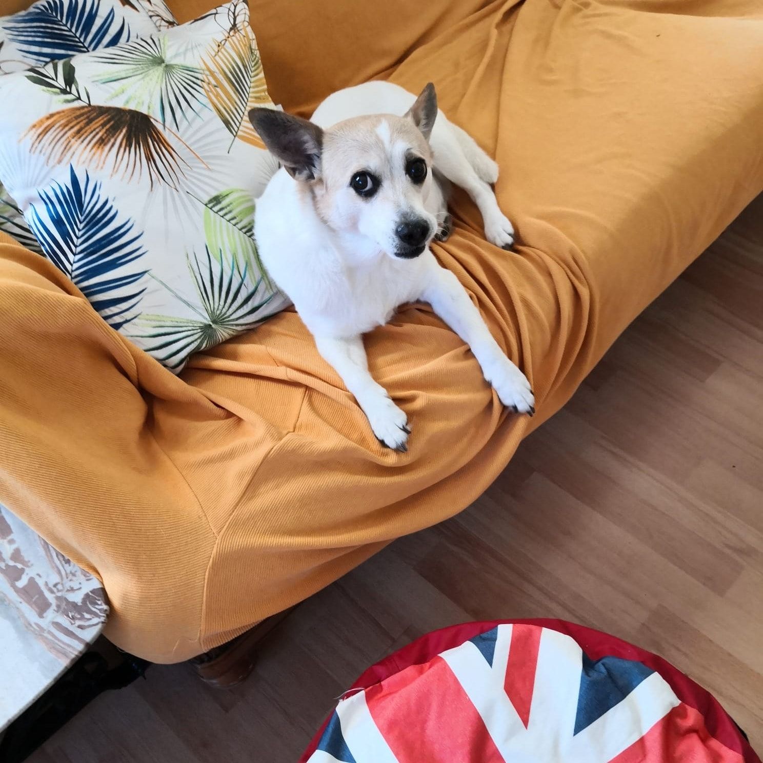 Lilli