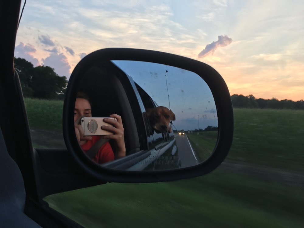 image-7
