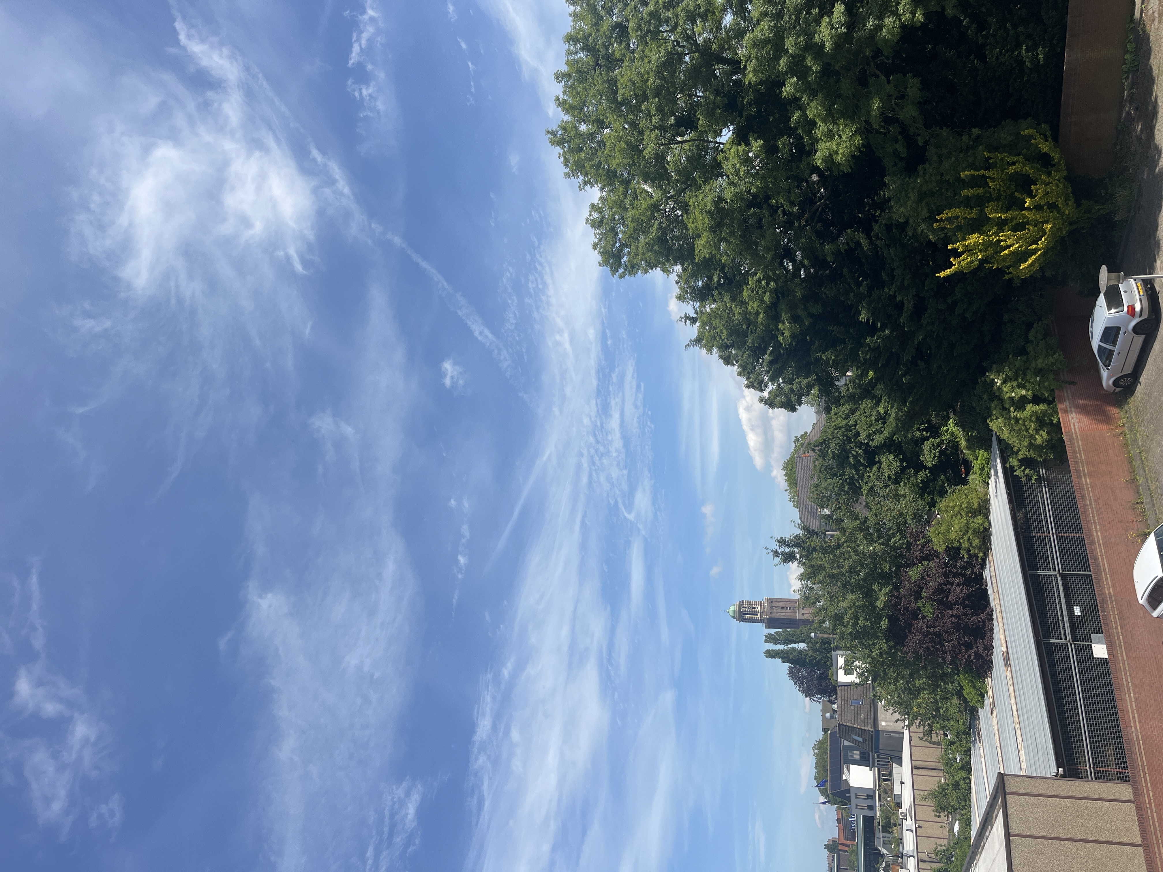 image-12