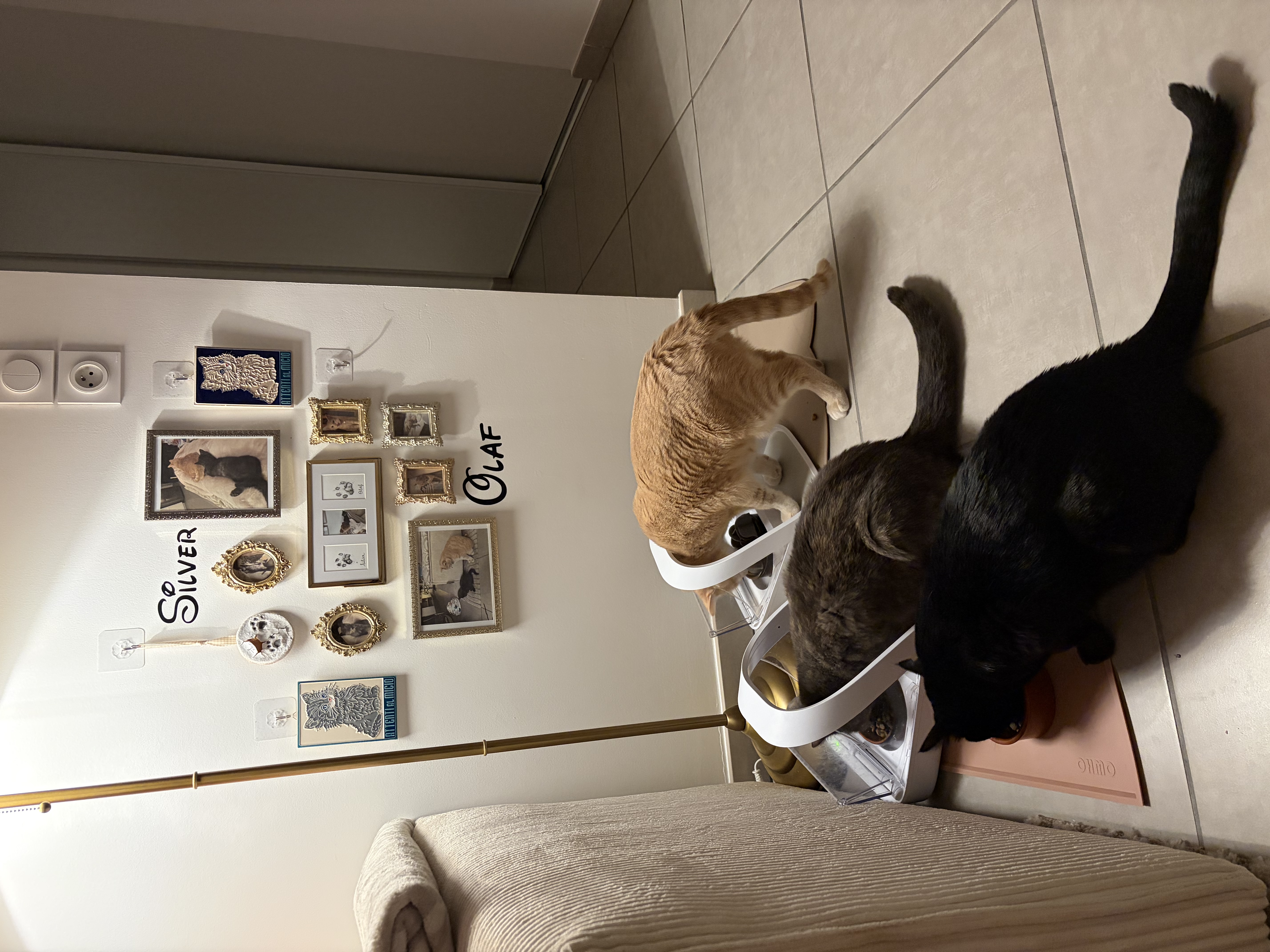 image-17