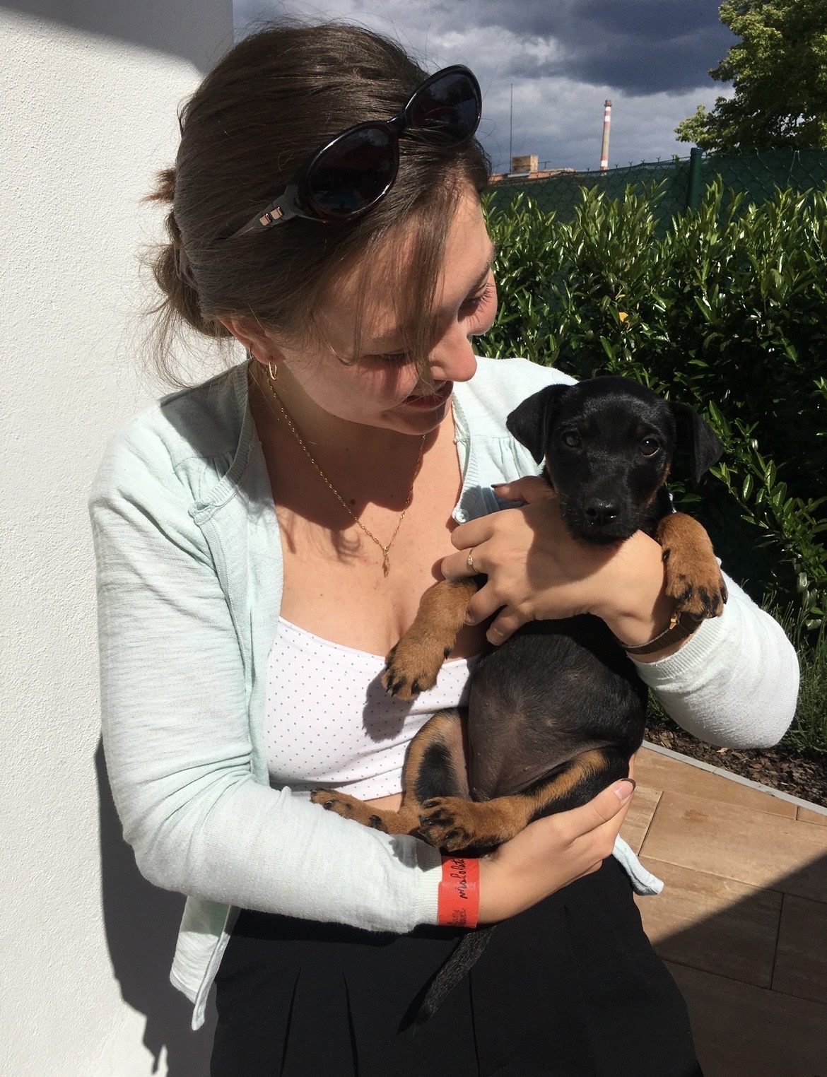 image-3