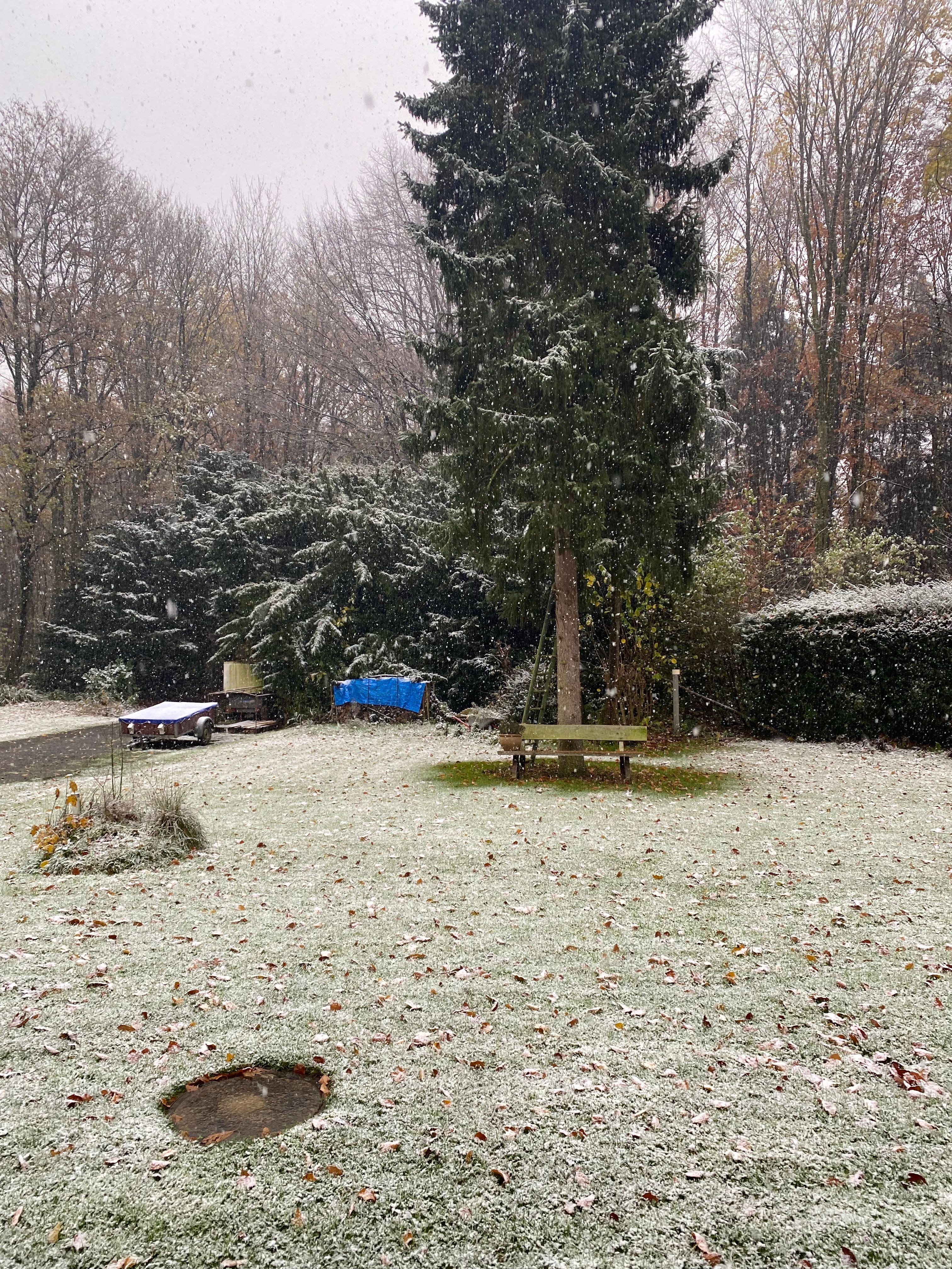 image-11