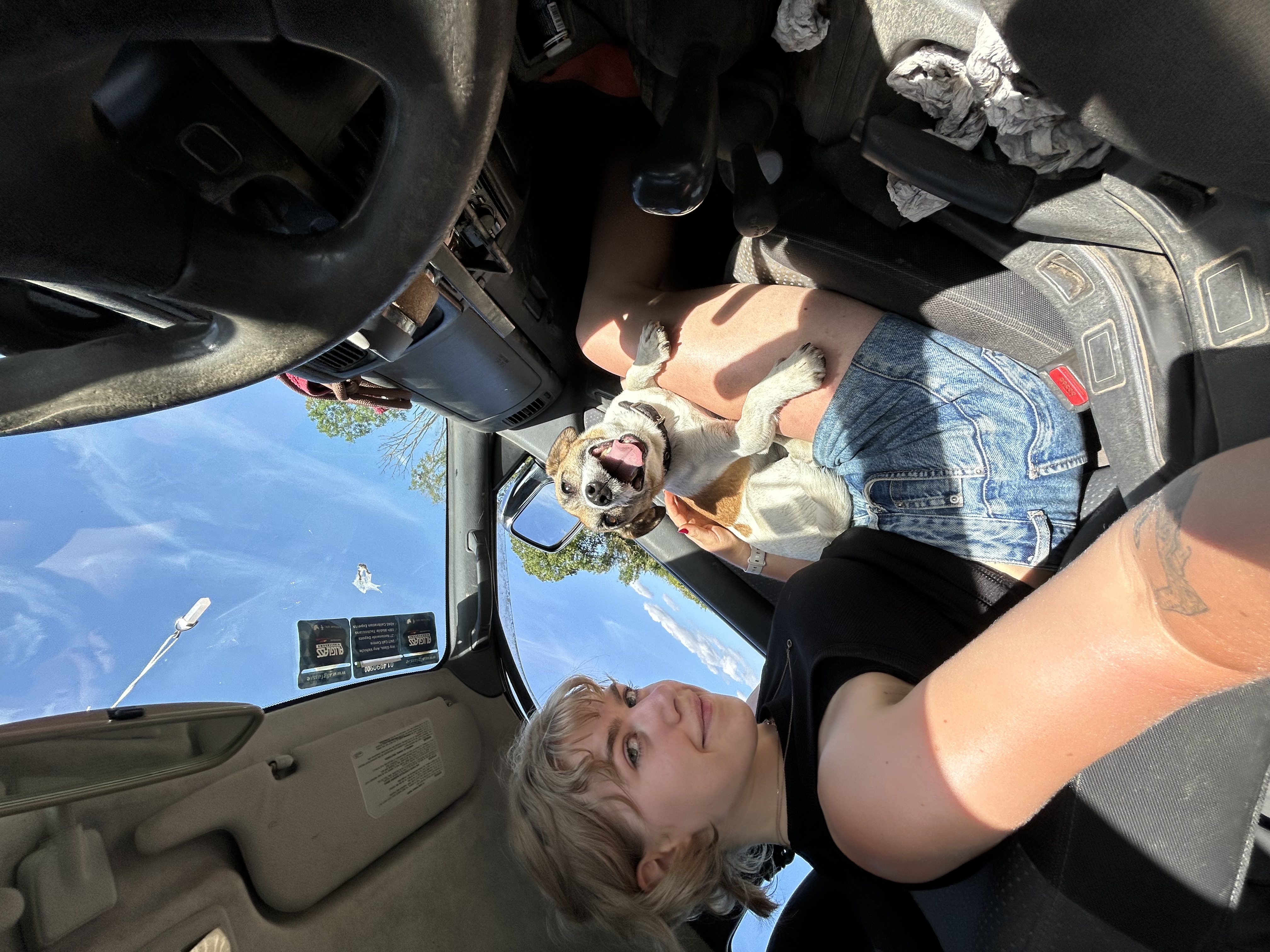 image-6