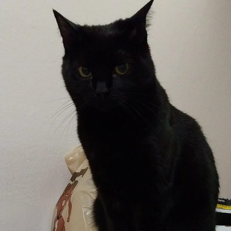 minnie
