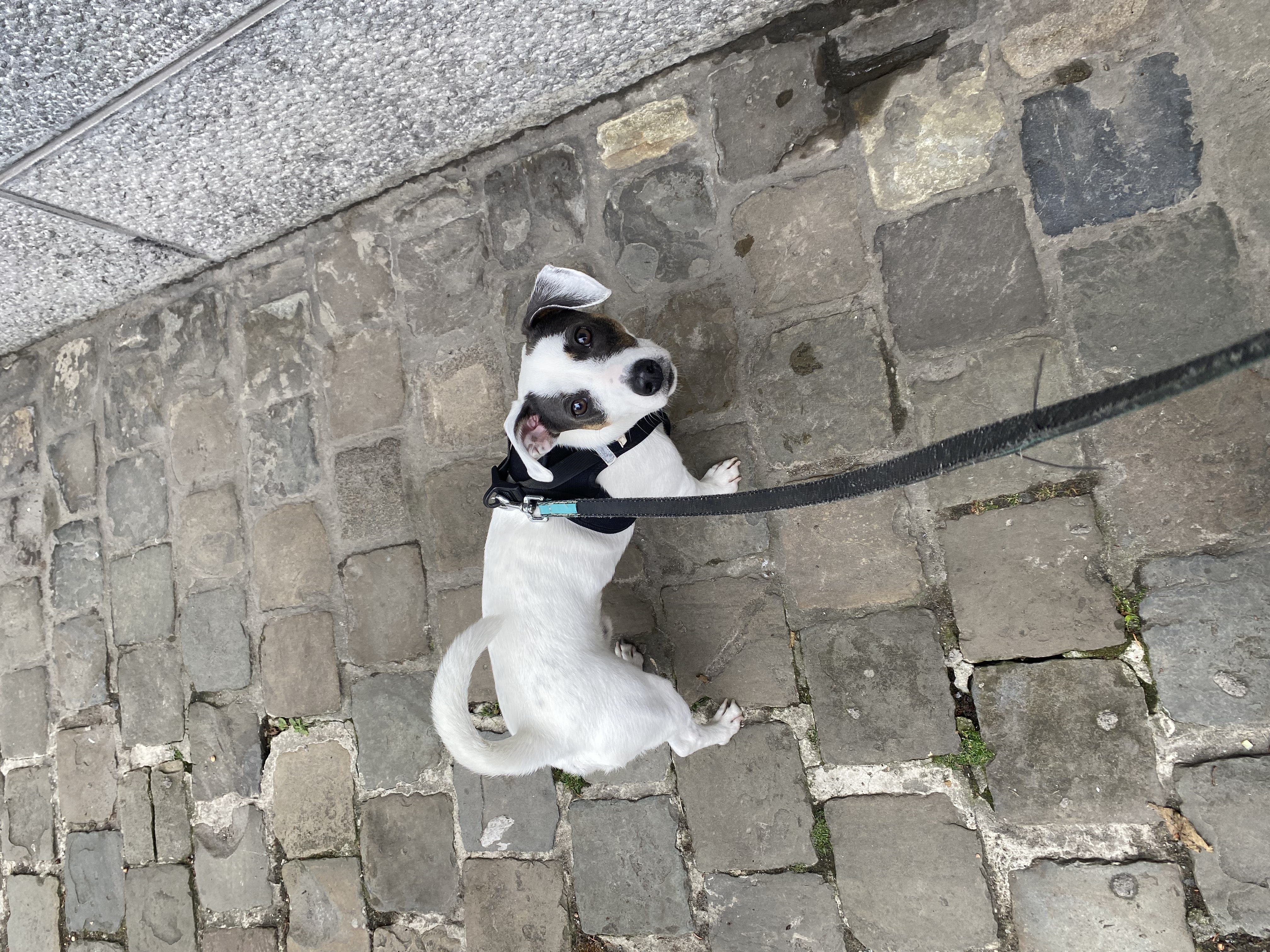 image-12