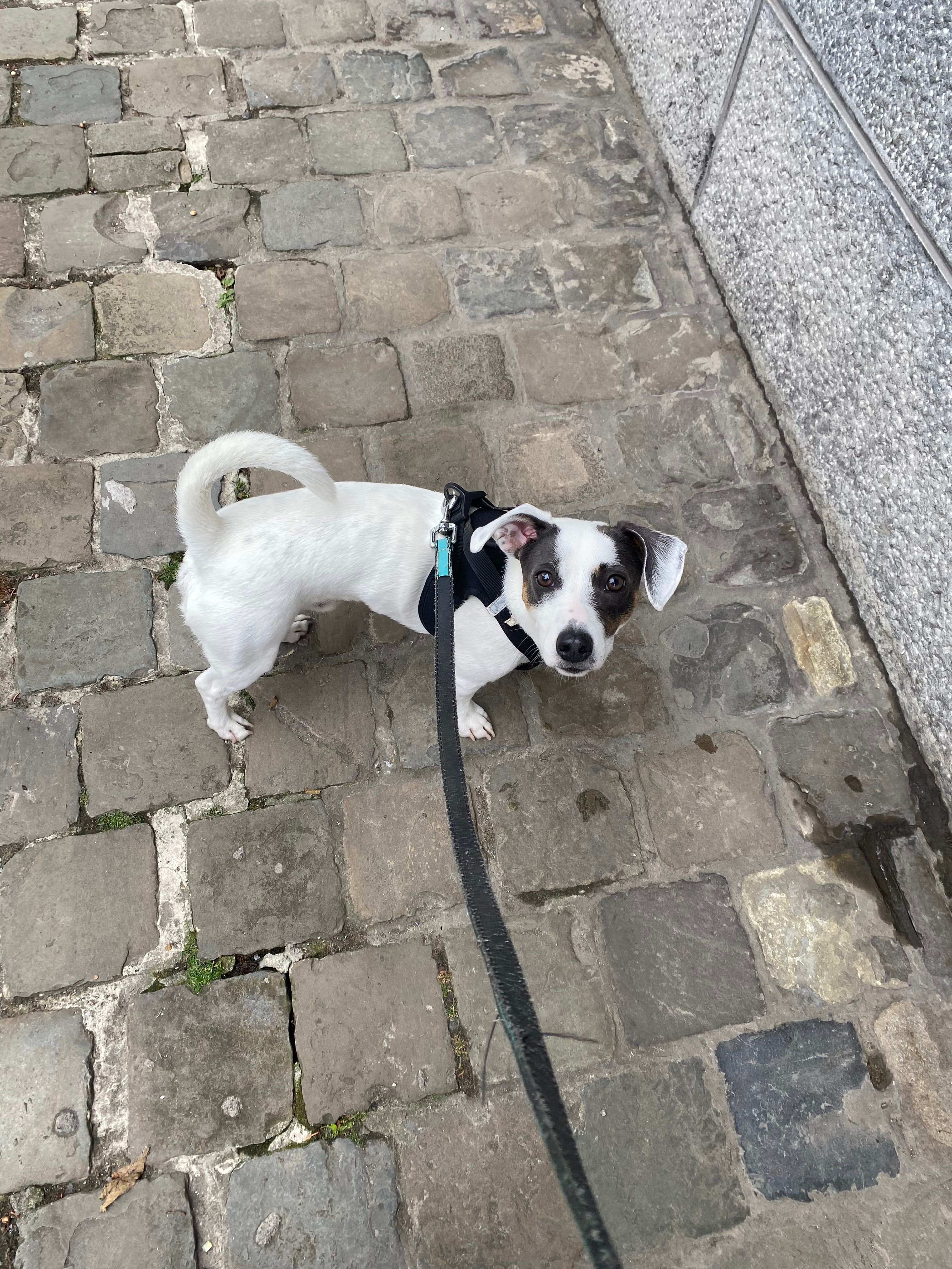 image-12