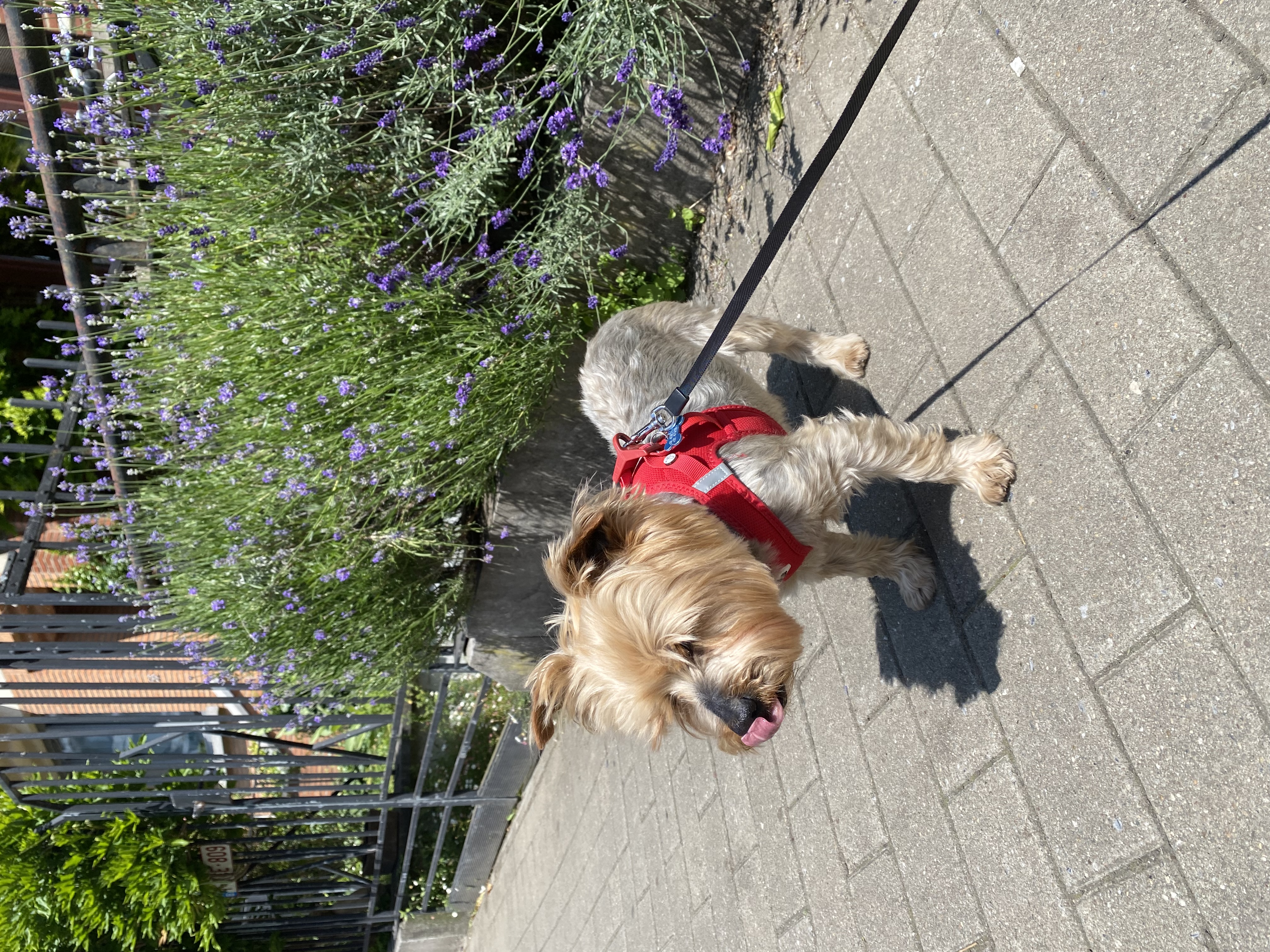 image-9