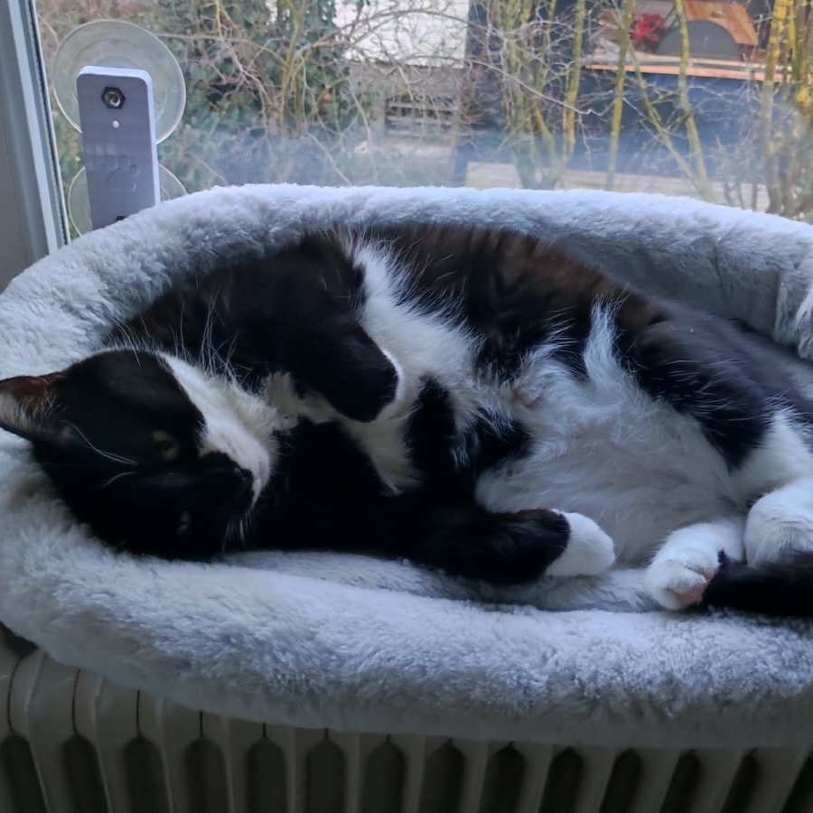 Sammy