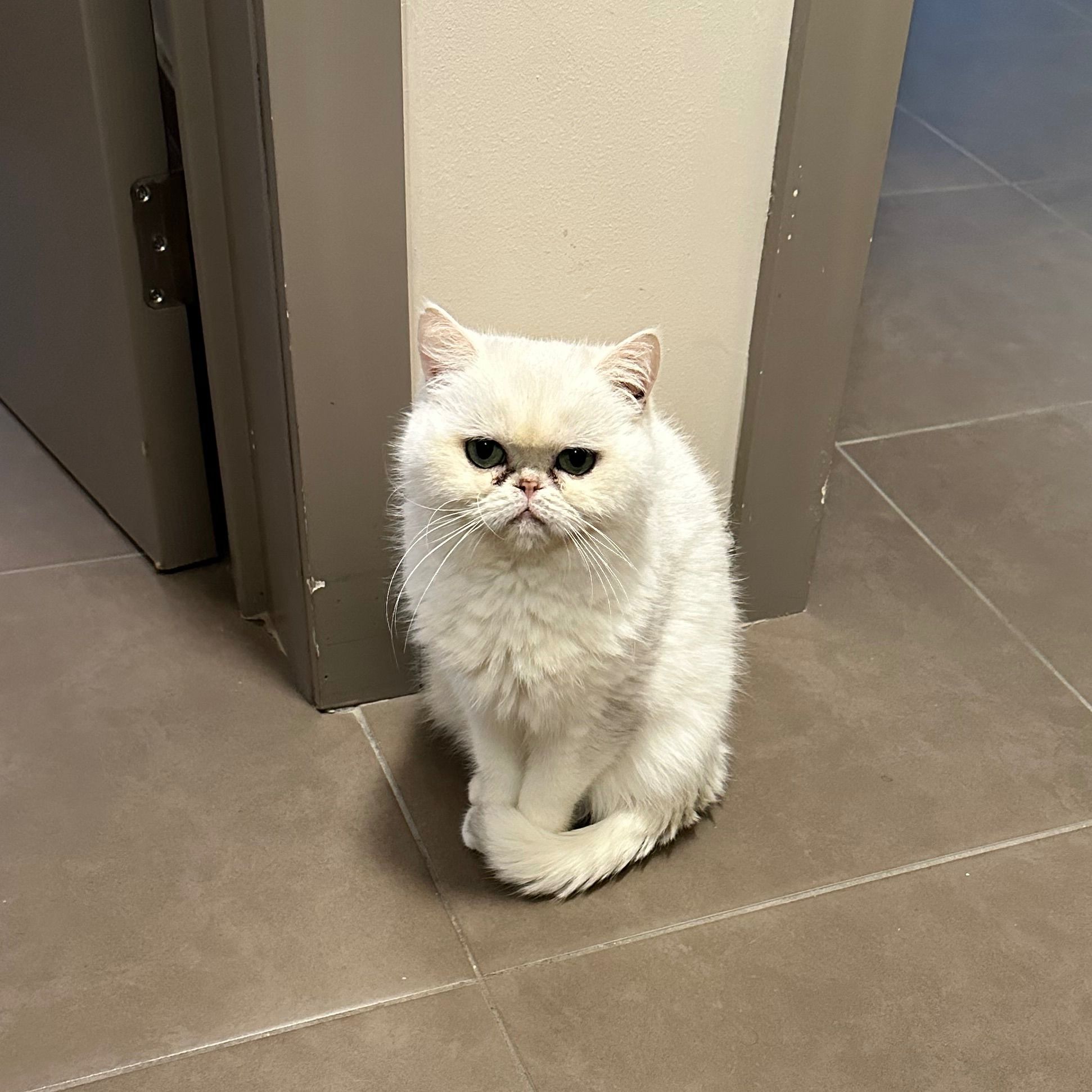 Zeva