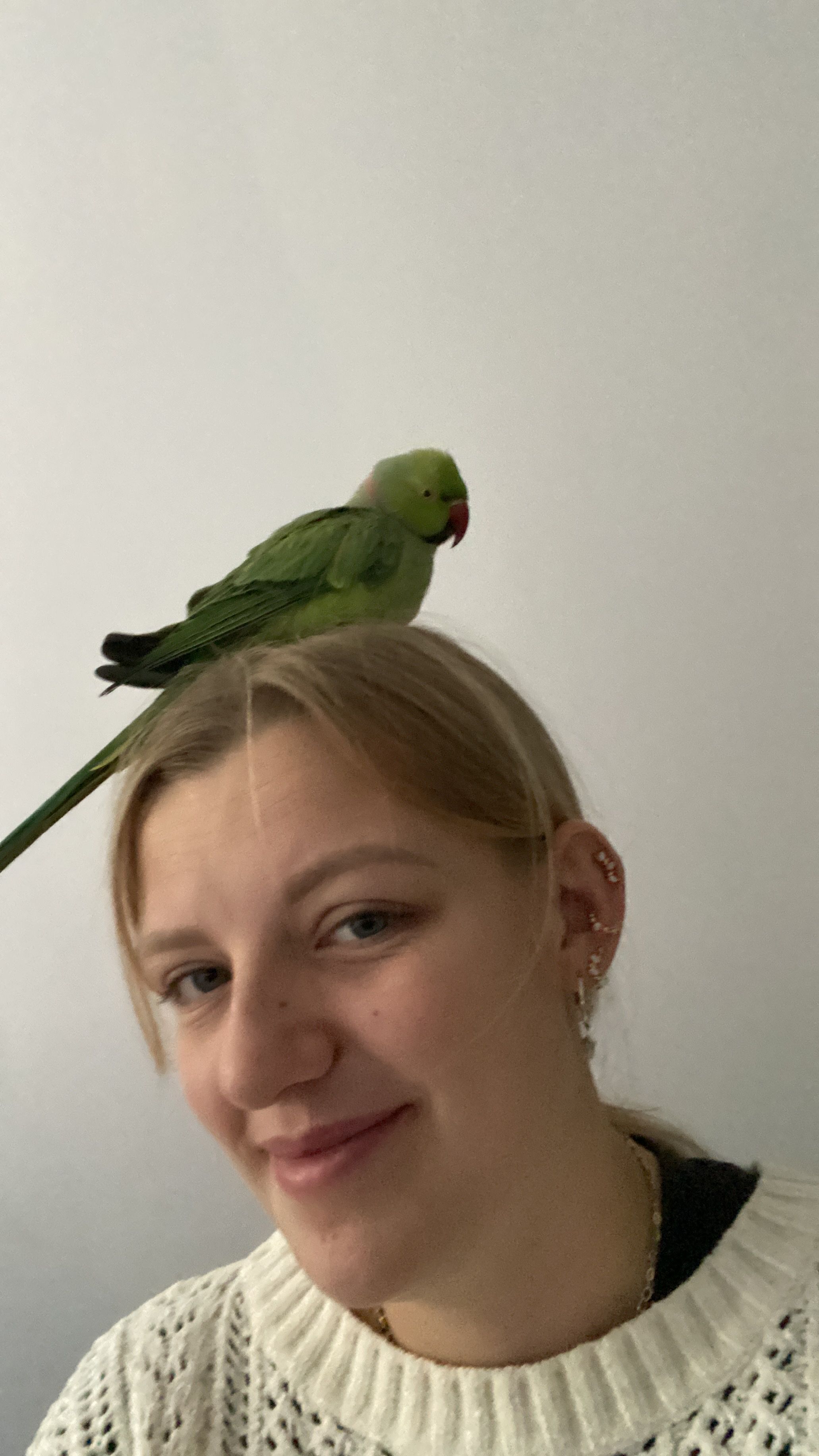 image-4