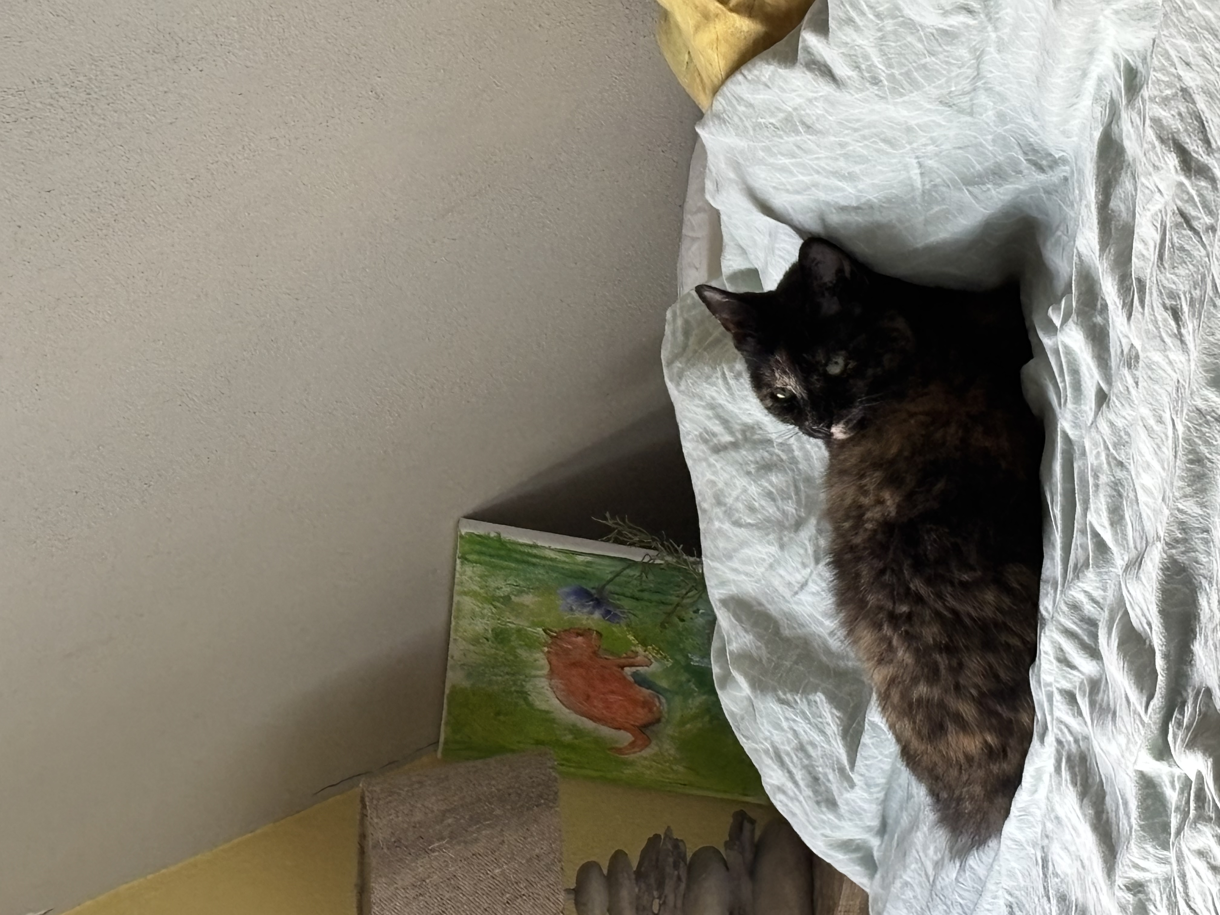image-6