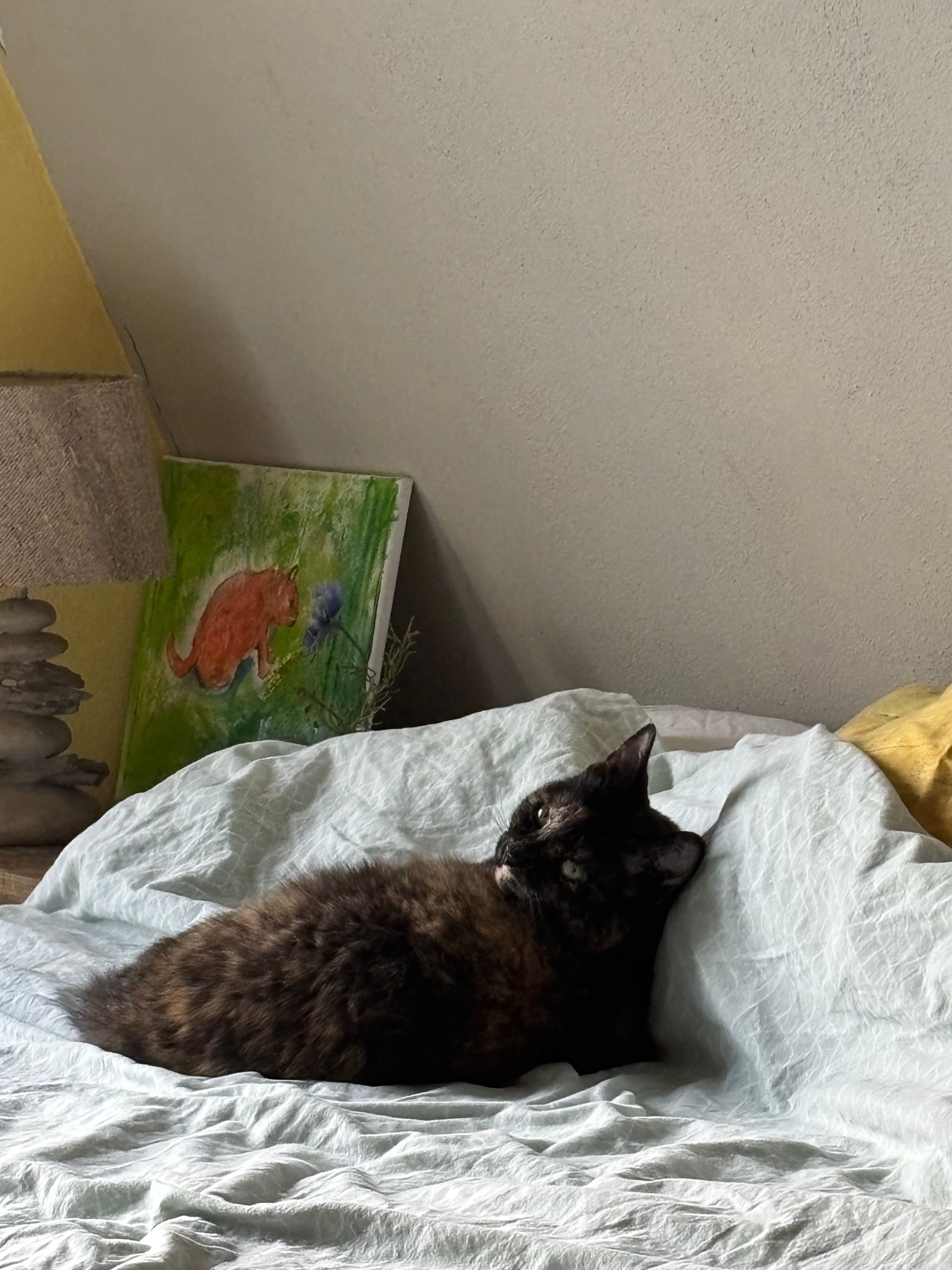 image-6