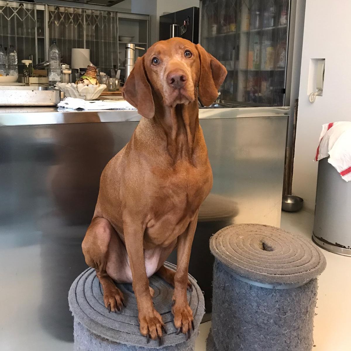 Chloe