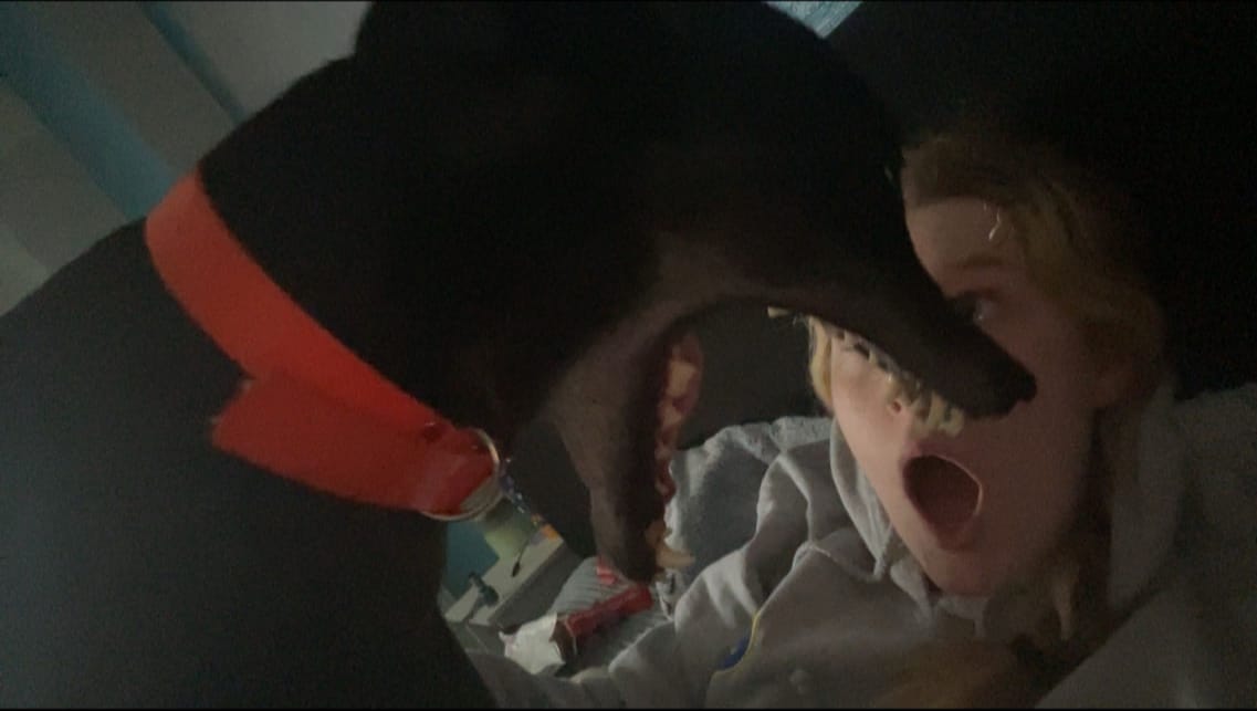 image-3