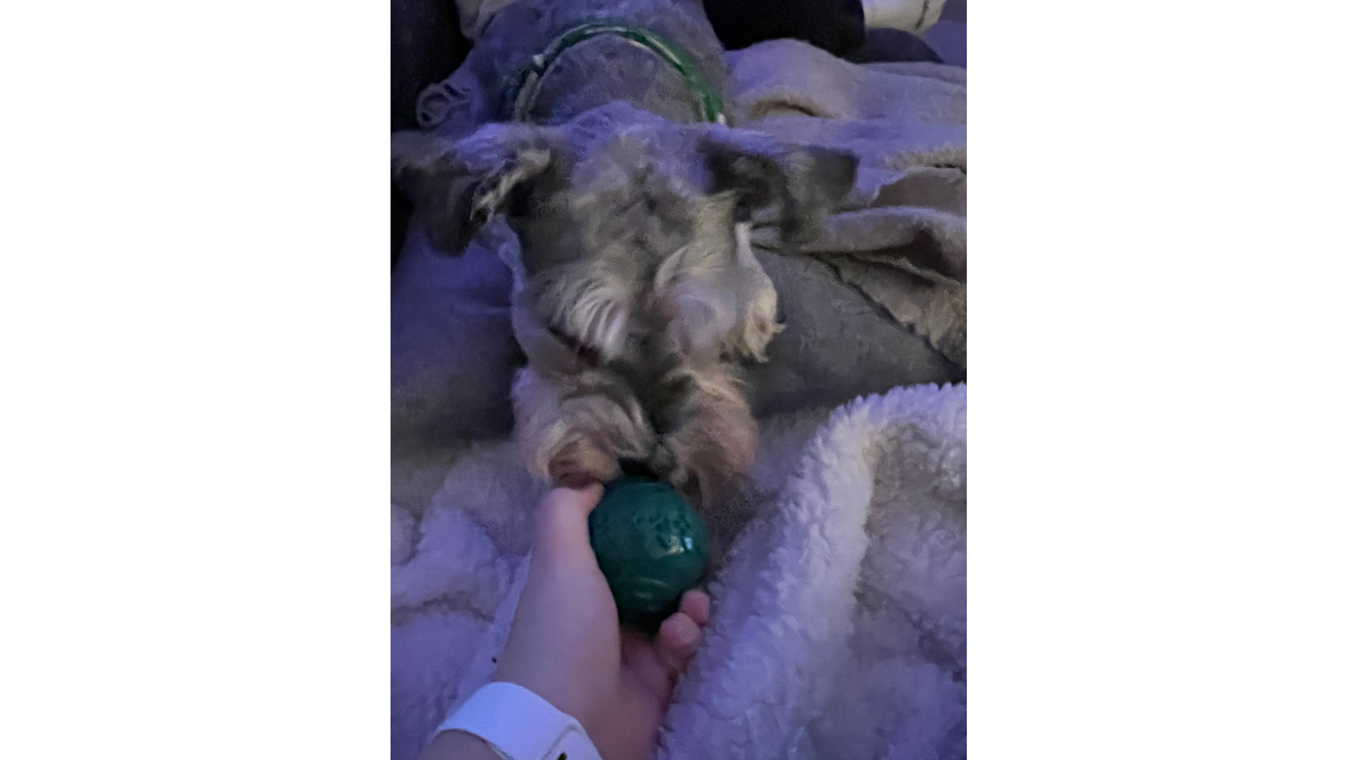 image-6
