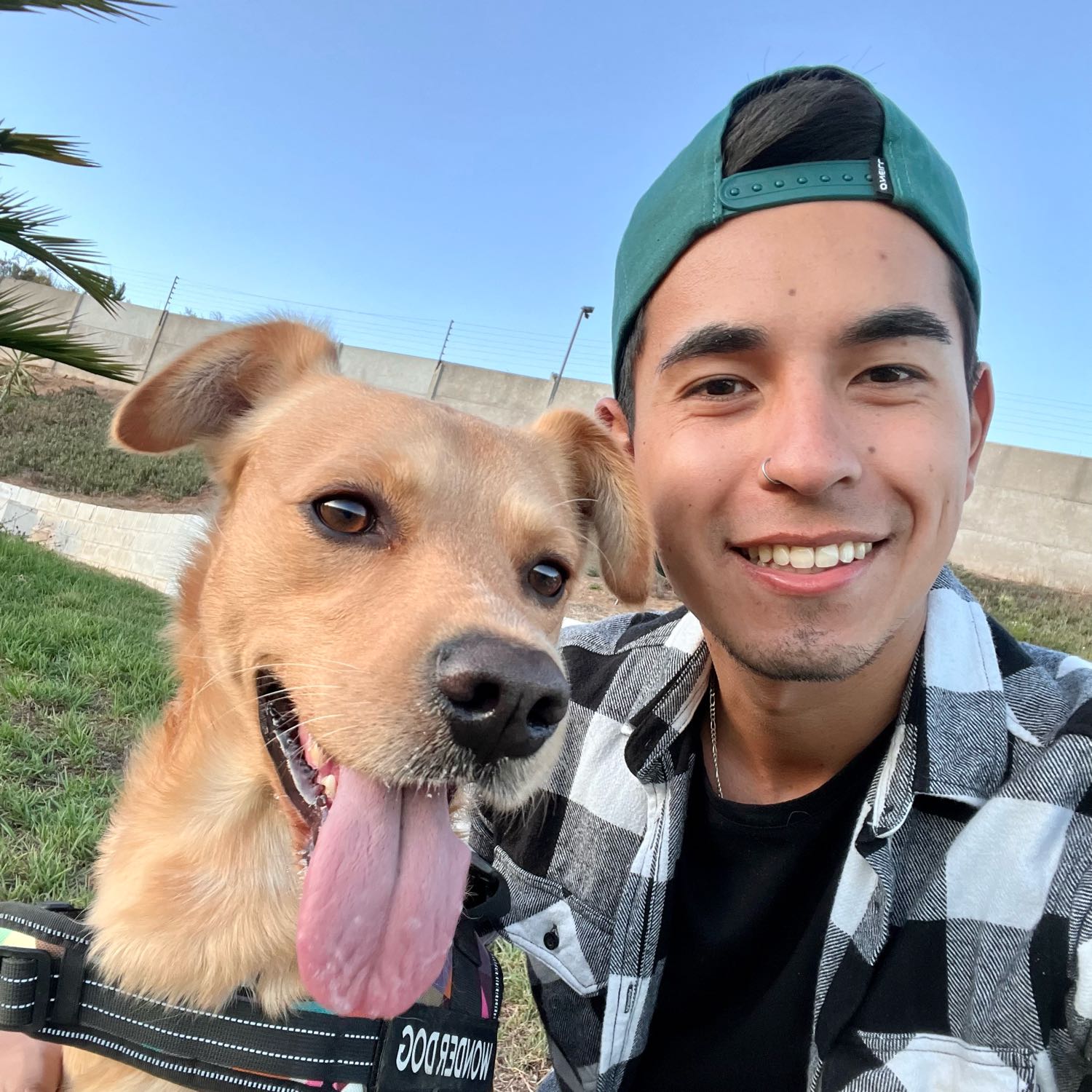 José