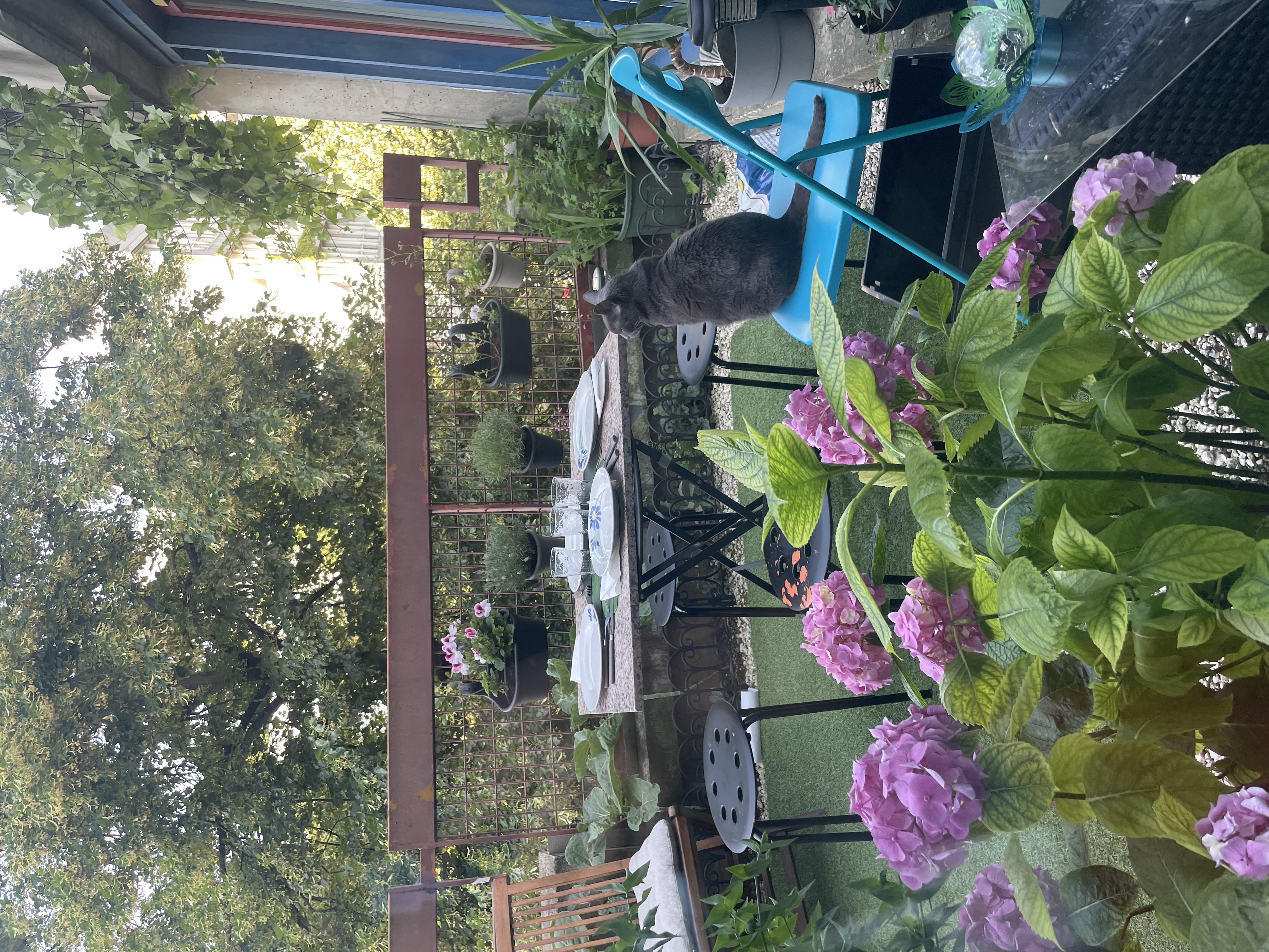 image-17