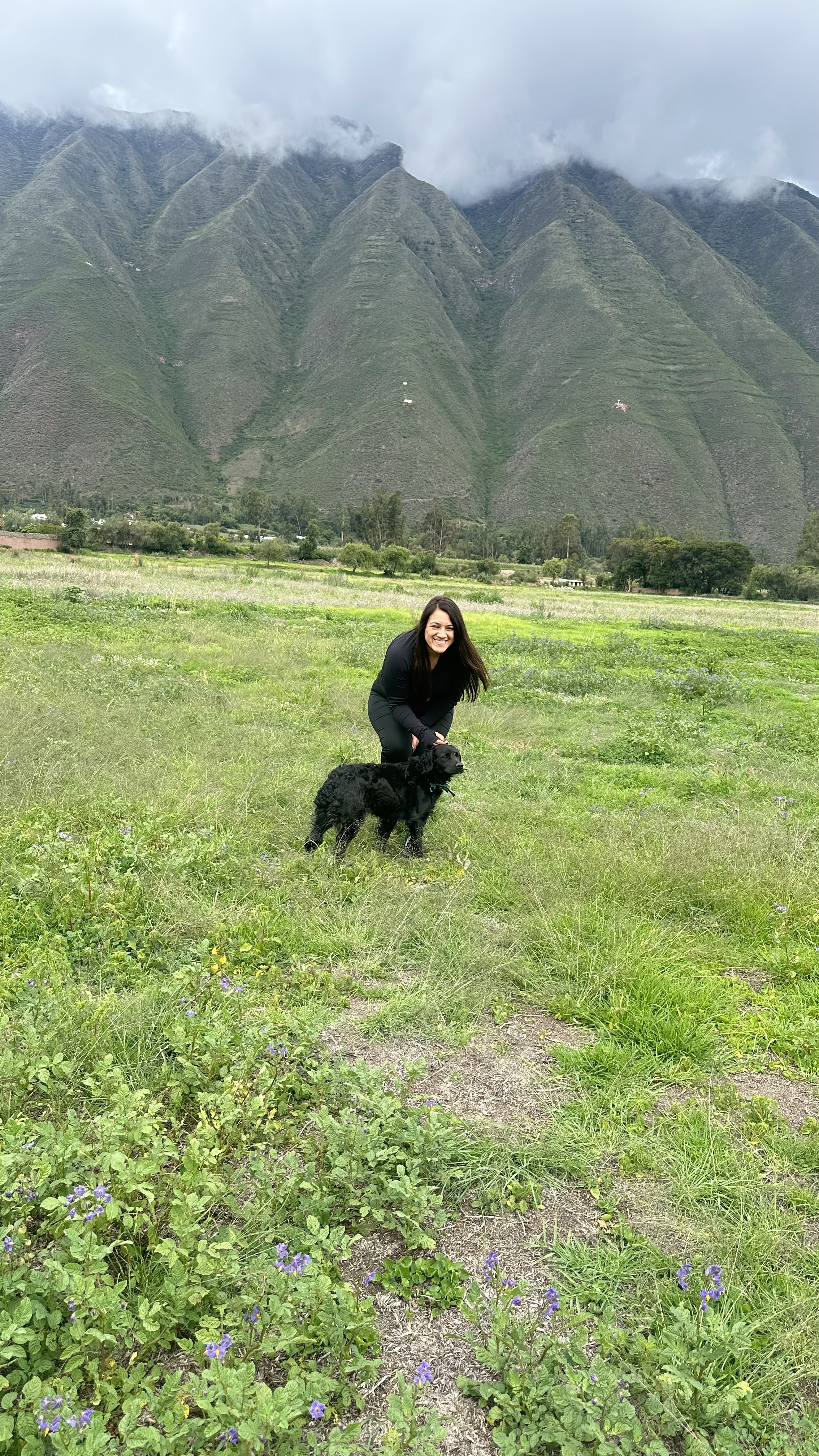image-7