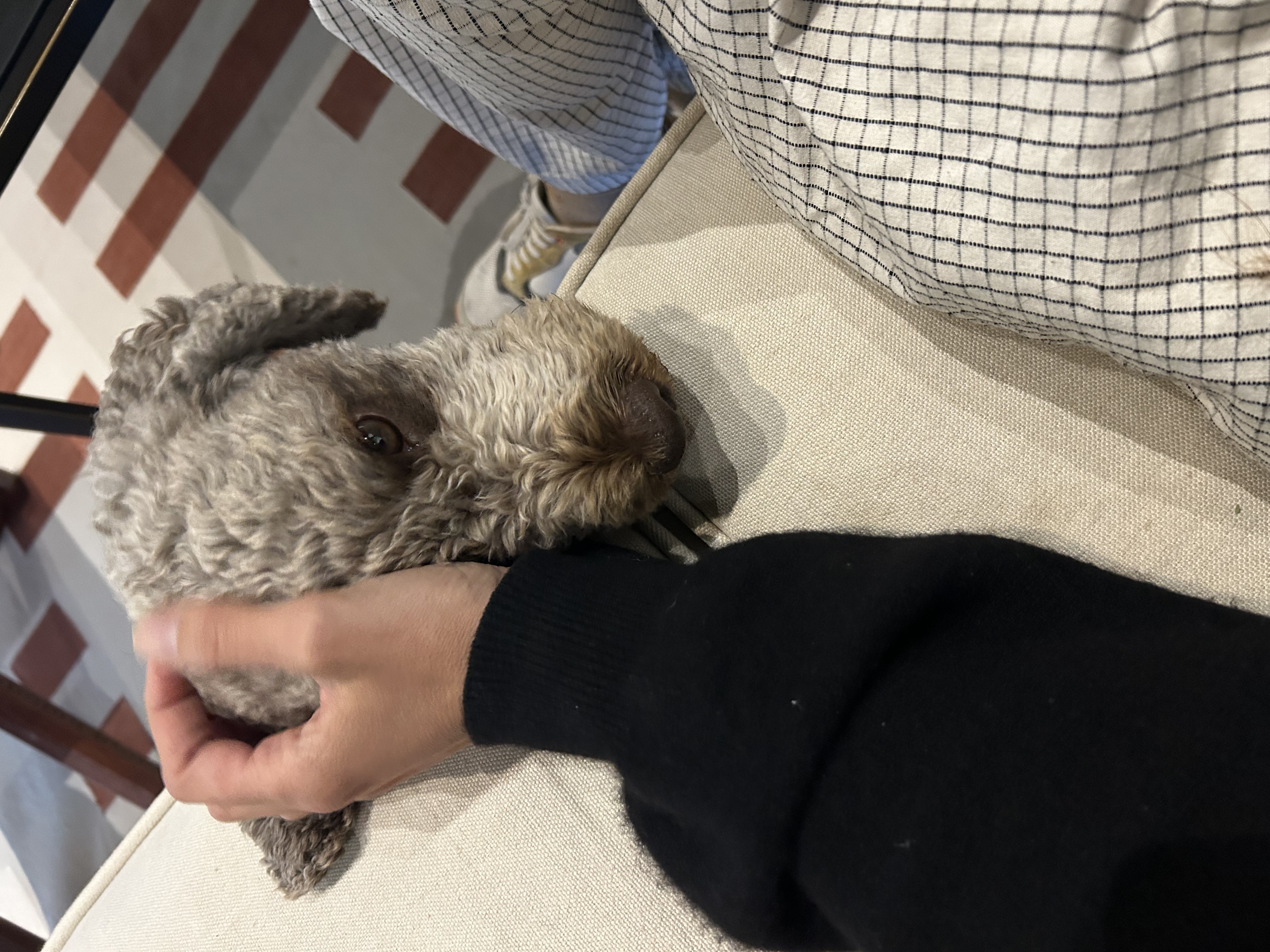 image-15