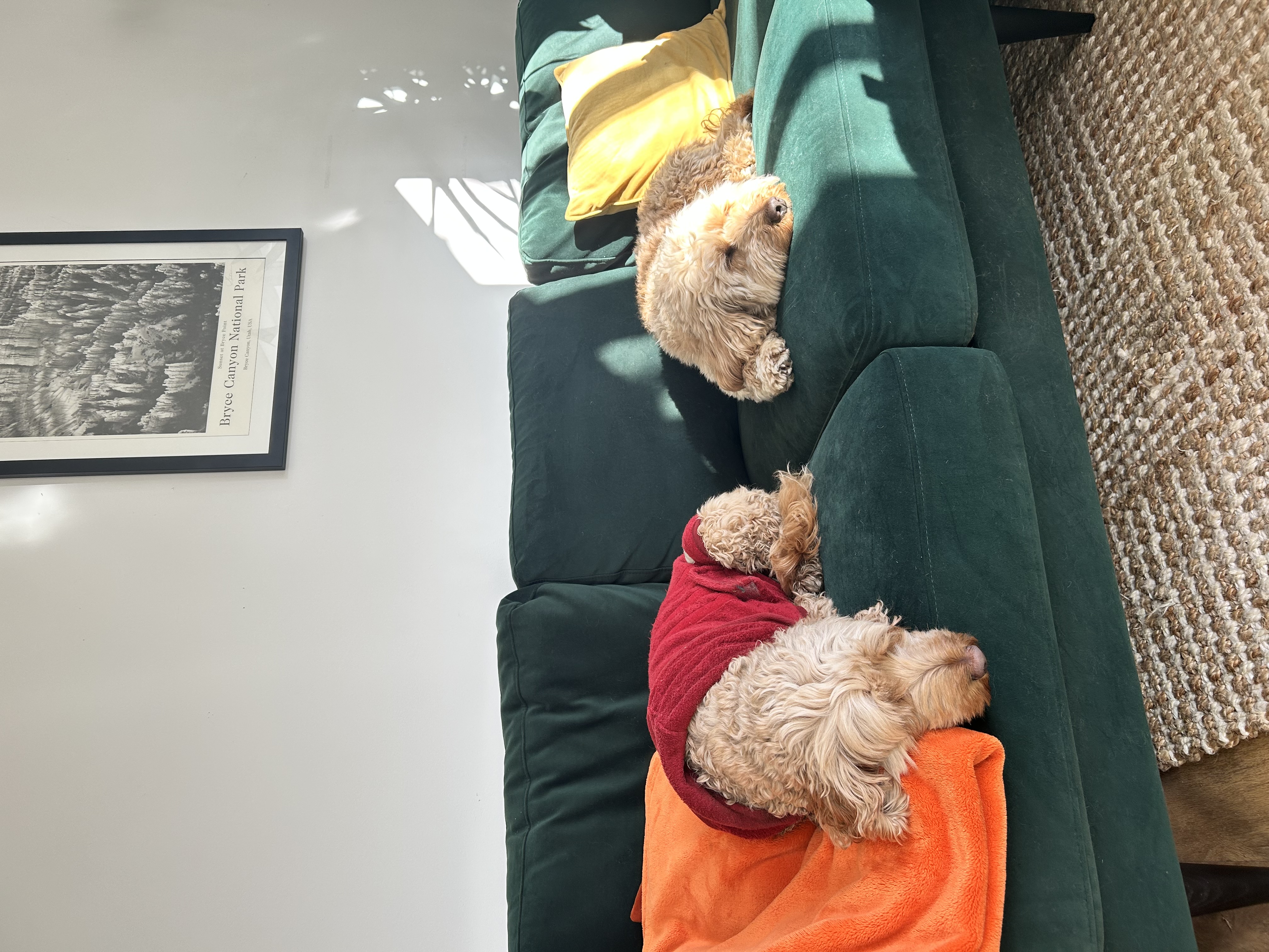 image-12