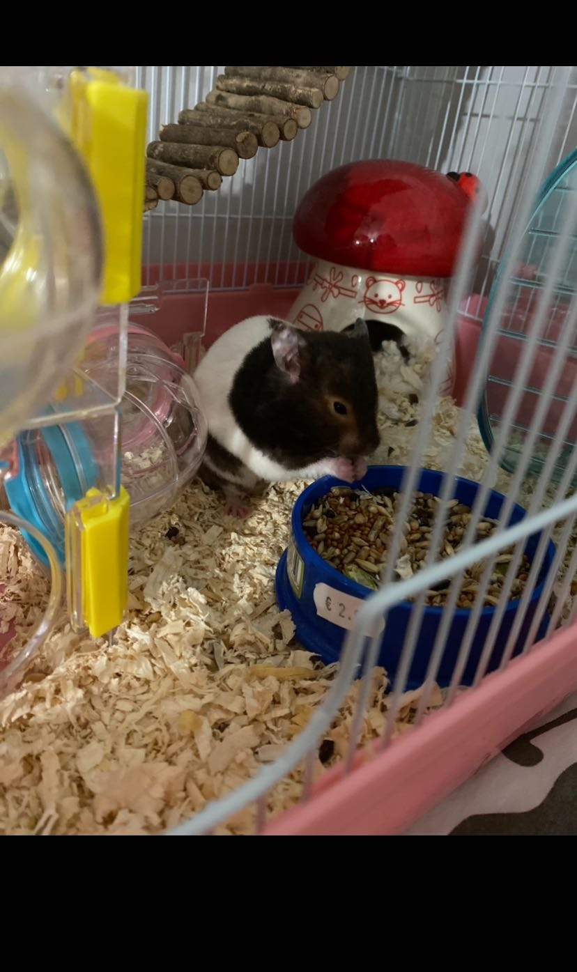 image-9